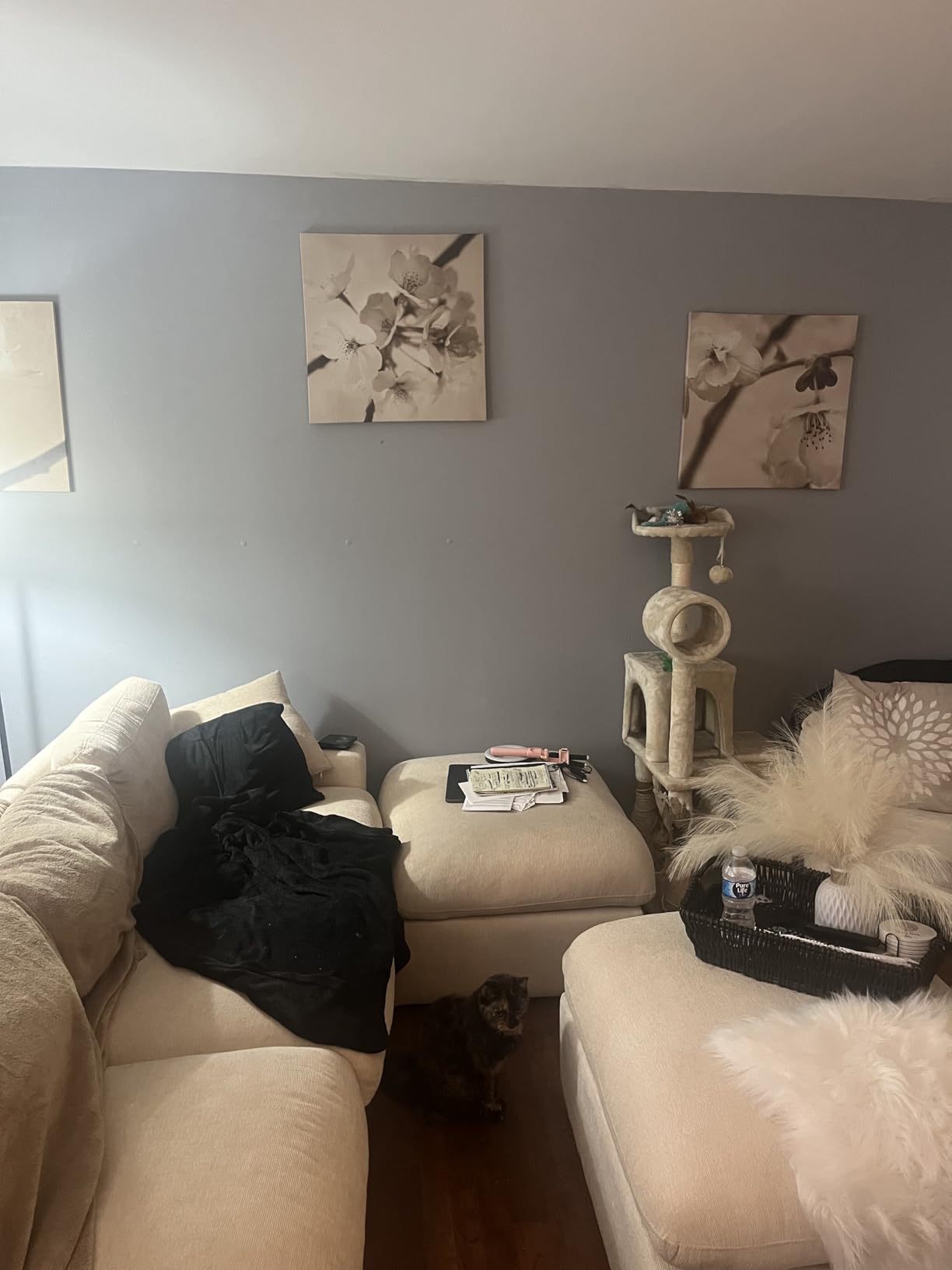 RECOLOR Eco-Friendly Interior Latex Paint, Eggshell Finish, 1 Gallon, Clay customer photo 2