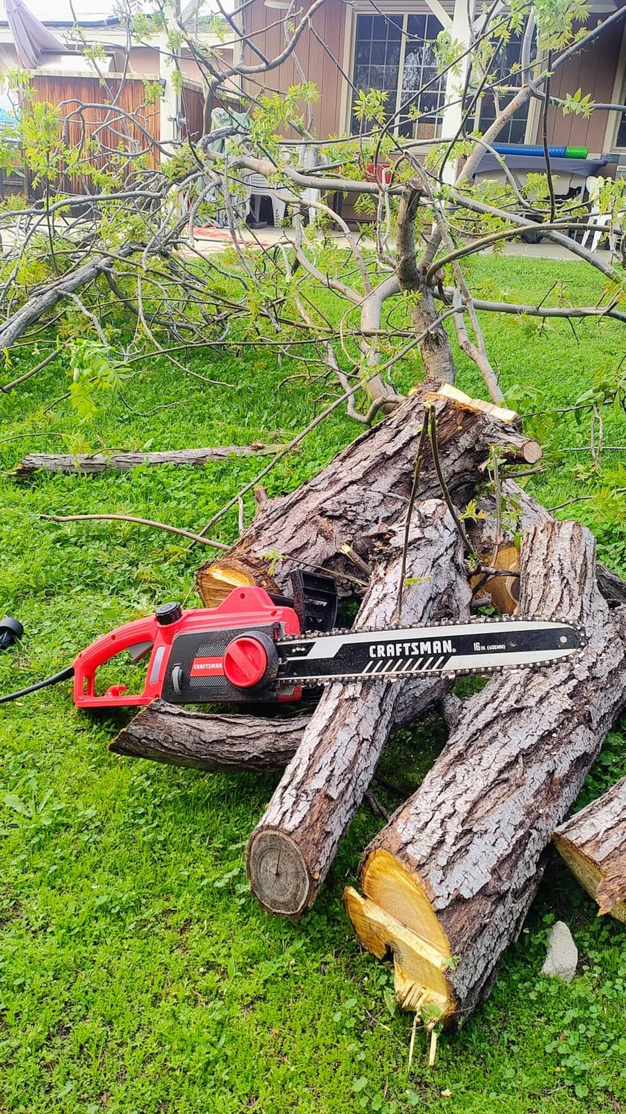 CRAFTSMAN Electric Chainsaw, 16 Inch, 12 Amp Corded Chain Saw Electric, Ergonomic, Powerful Motor (CMECS600) customer photo 2