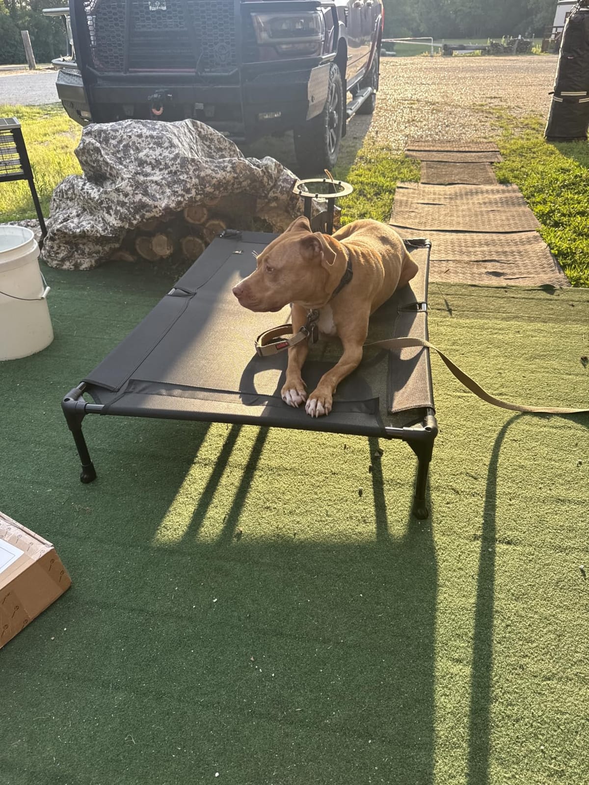 Veehoo Outdoor Elevated Dog Bed Large Sized Dogs, Cooling Raised Dog Cots customer photo 1