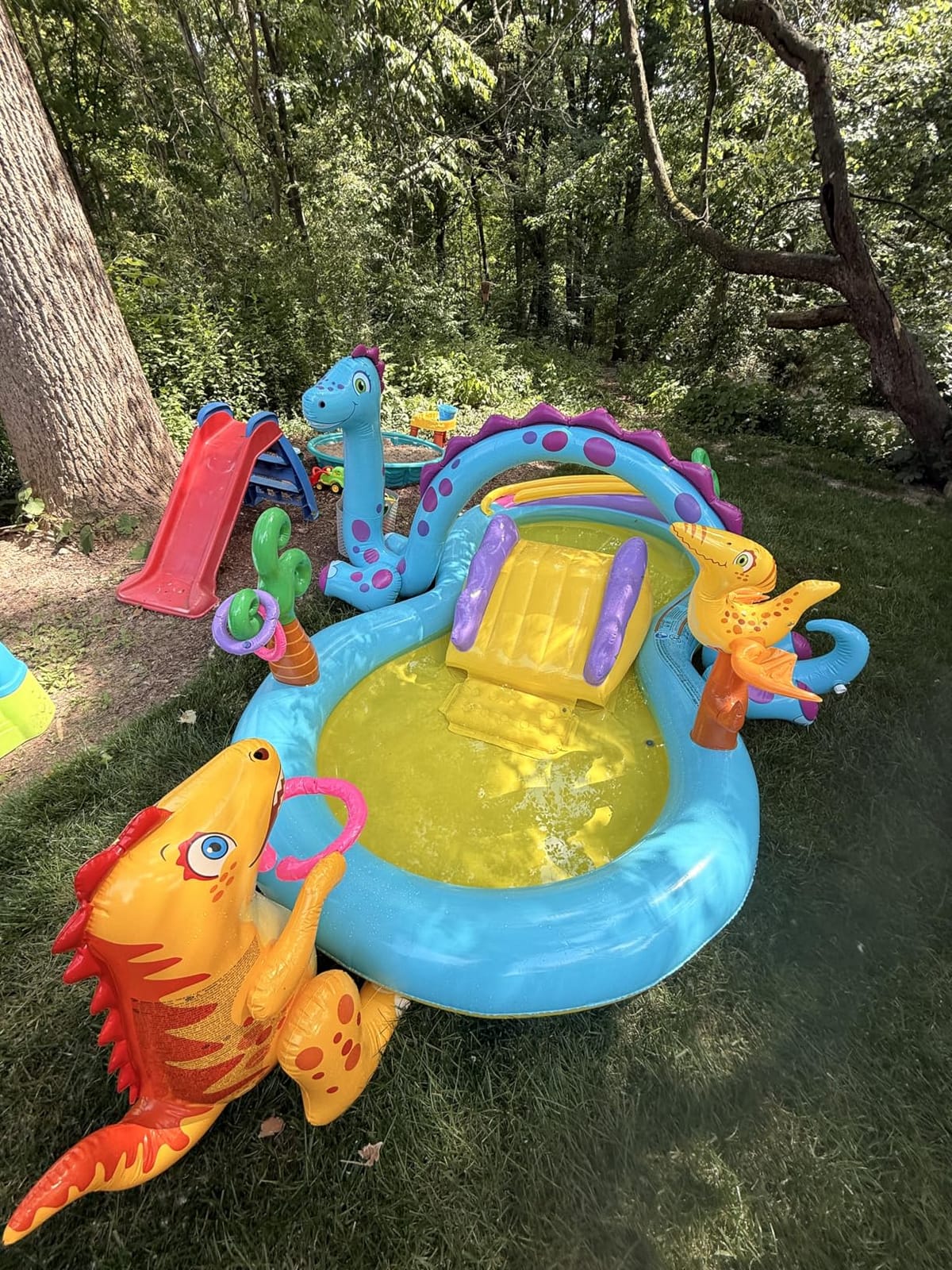 INTEX Jungle Adventure Inflatable Water Slide Park & Kiddie Swimming Pool customer photo 1