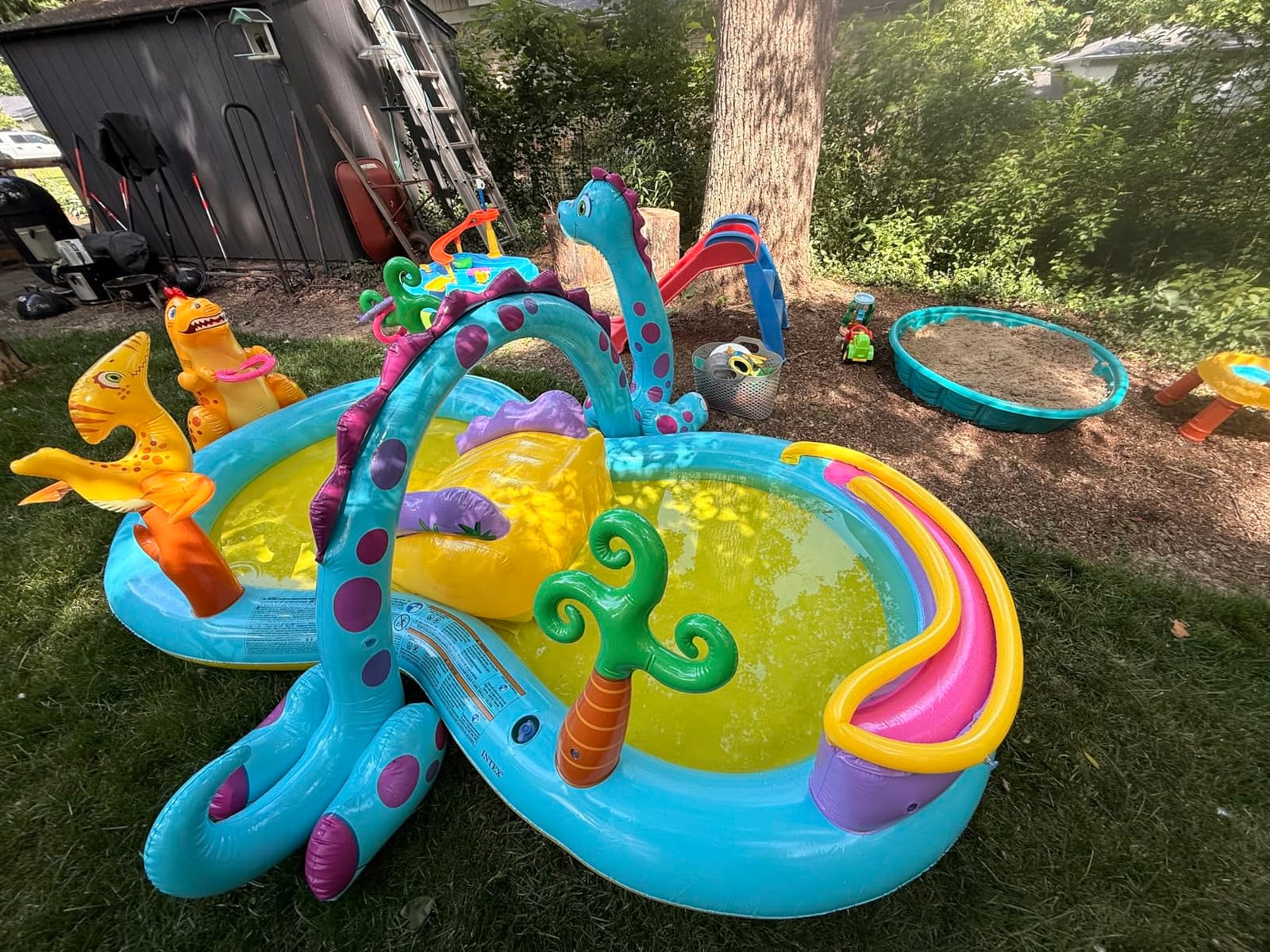INTEX Jungle Adventure Inflatable Water Slide Park & Kiddie Swimming Pool customer photo 2