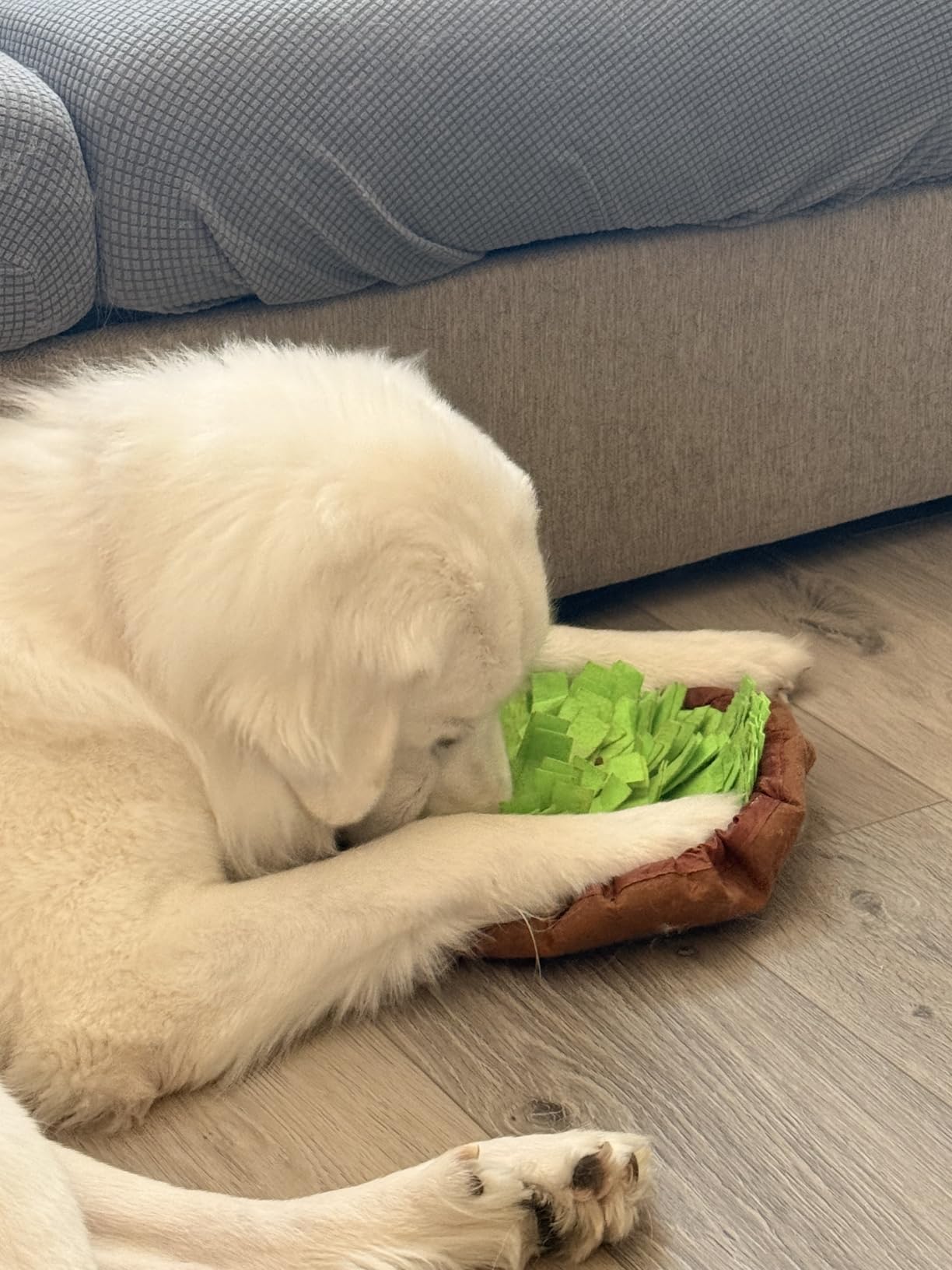 AWOOF Pet Snuffle Mat for Dogs, Interactive Feed Game for Boredom, Encourages Natural Foraging Skills for Cats Dogs Bowl Travel Use, Dog Treat Dispenser Indoor Outdoor Stress Relief customer photo 2