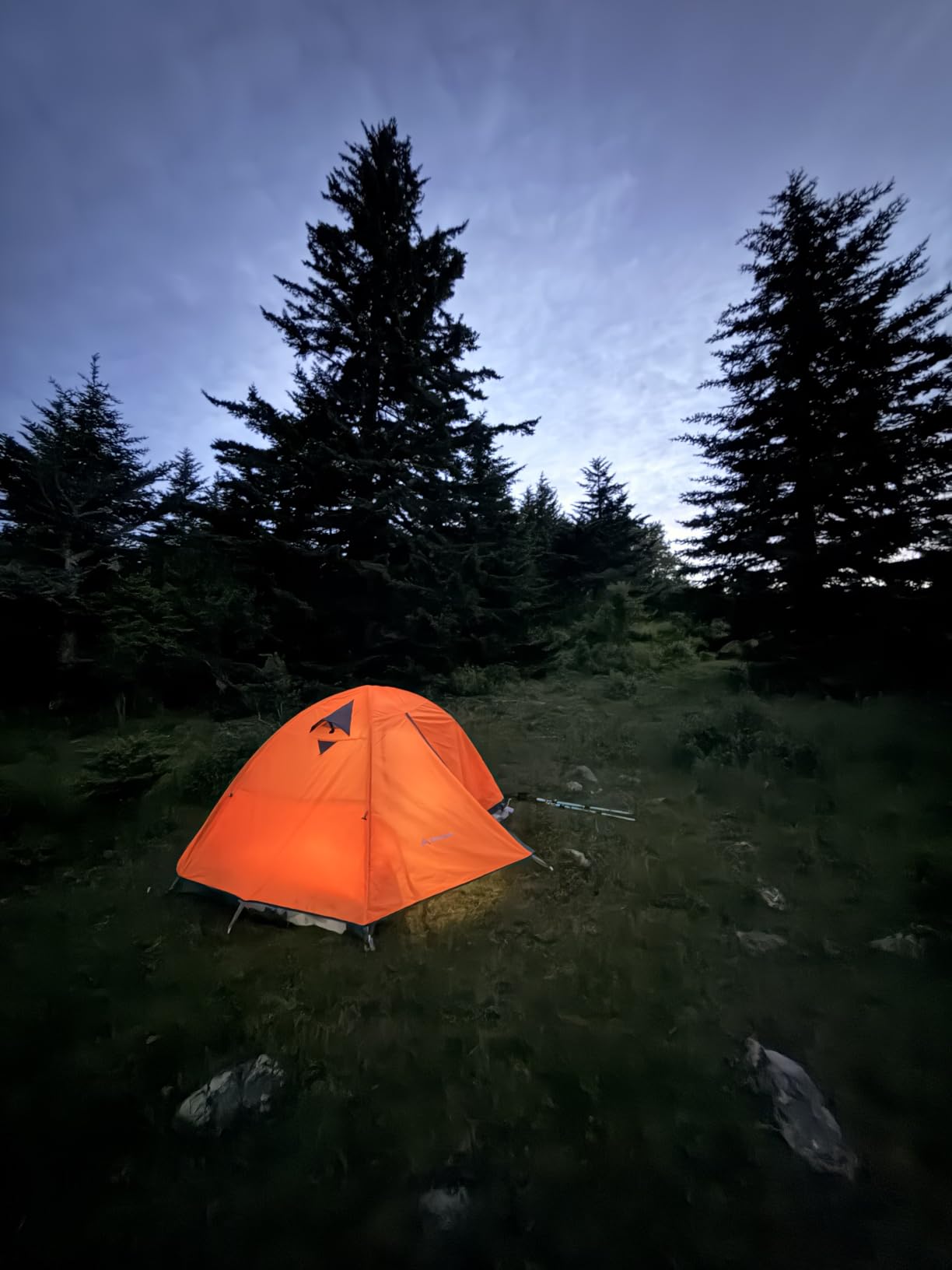 BISINNA 2/4 Person Camping Tent Lightweight Waterproof Backpacking Tent customer photo 1