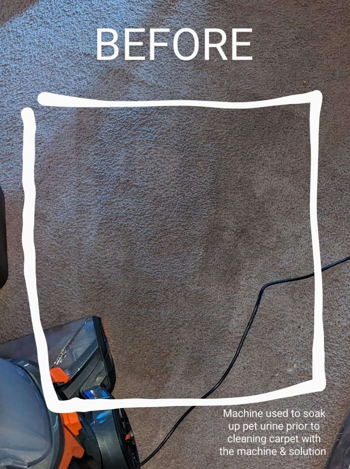 Bissell ProHeat 2X Revolution Pet Full Size Upright Carpet Cleaner, 1548F, Orange customer photo 2