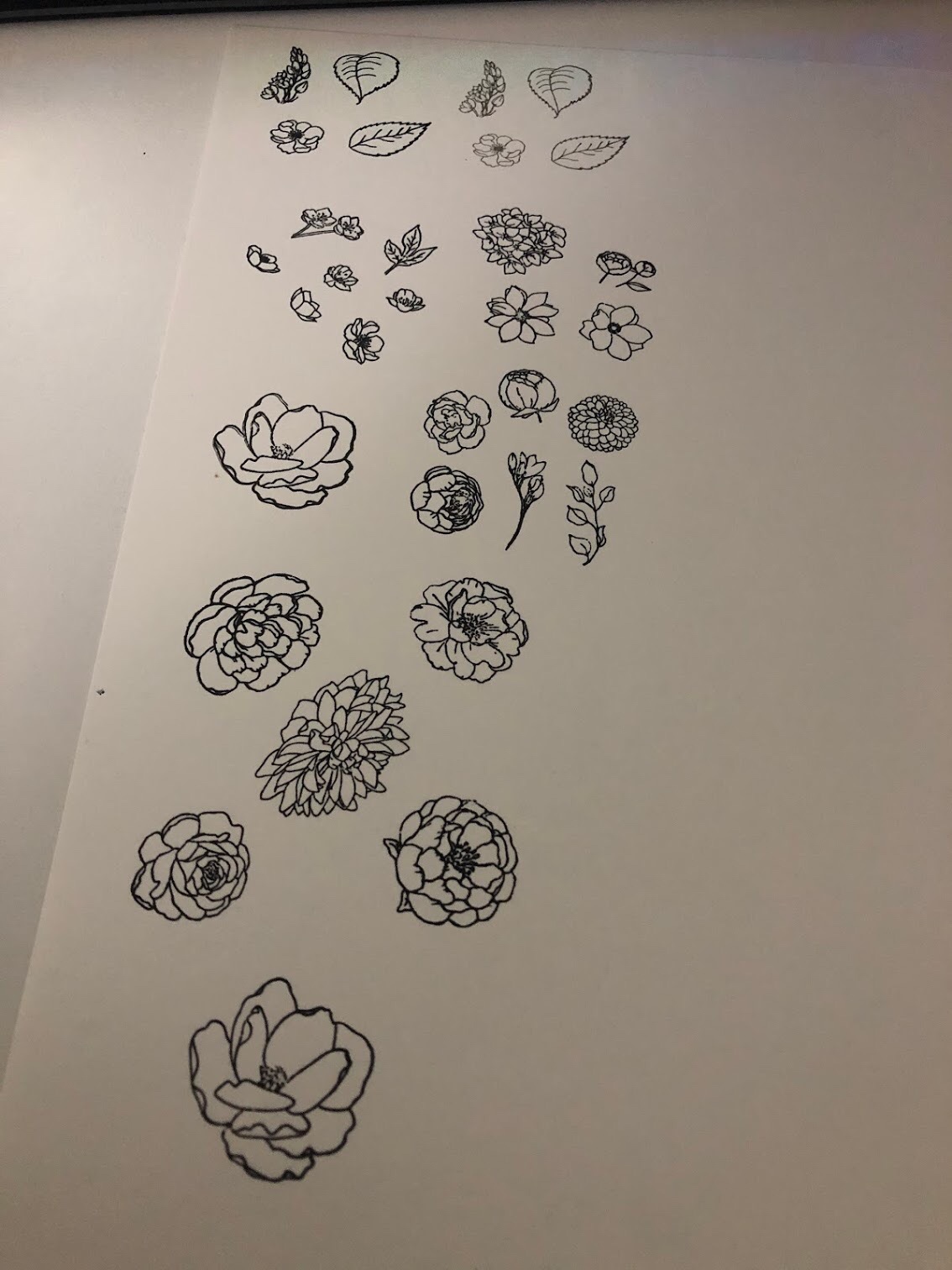 Flowers Leaves Clear Stamps for Card Making Decoration and DIY Scrapbooking customer photo 1