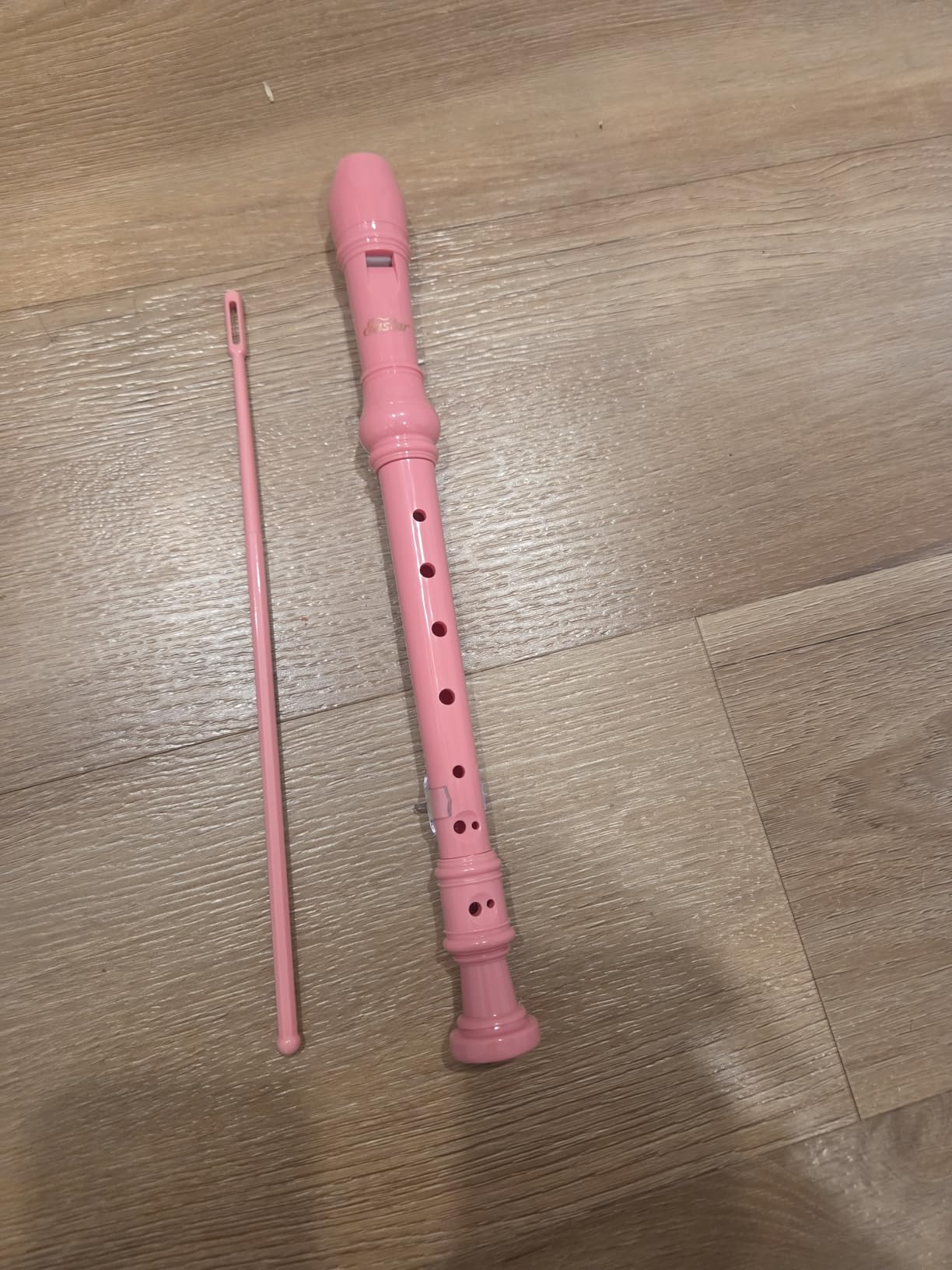 Eastar German C Soprano Recorder for Kids Beginner Kit, Sky Blue, ERS-21GSB customer photo 2