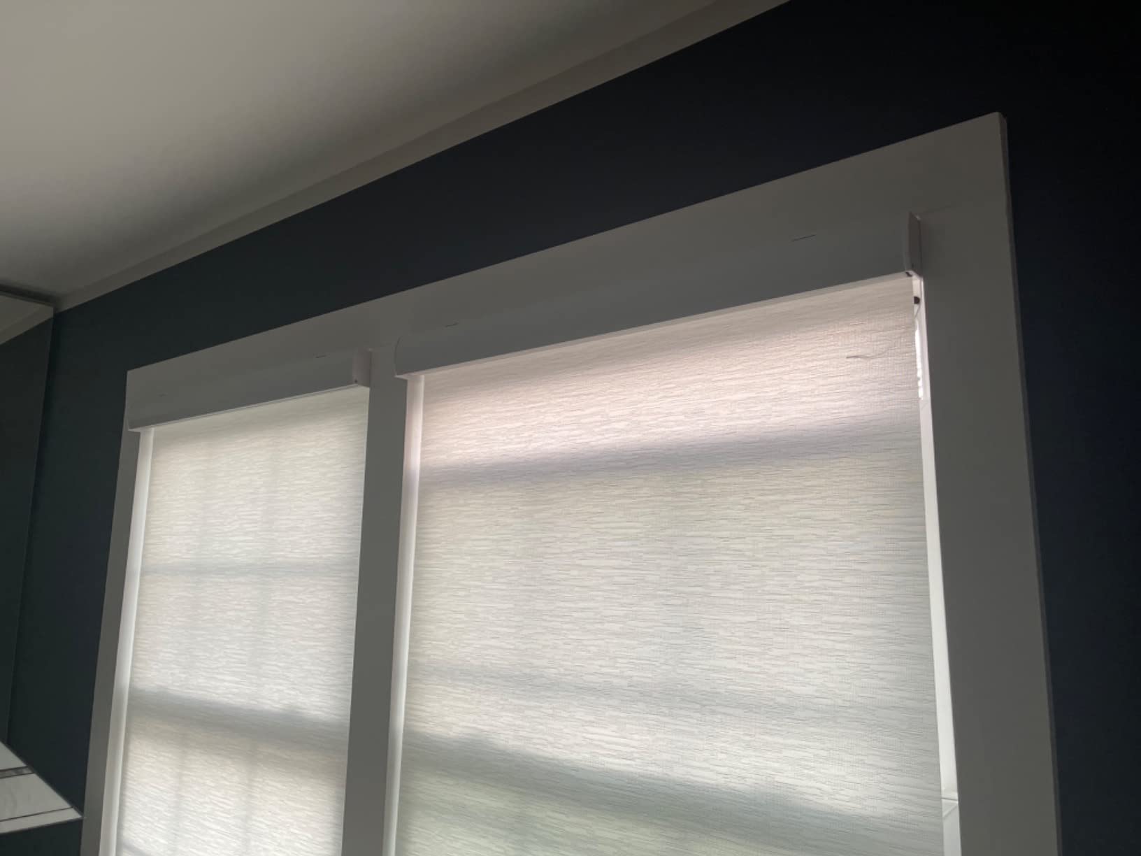 Yoolax Motorized Blinds with Remote, Light Filtering Smart Window Blinds customer photo 2