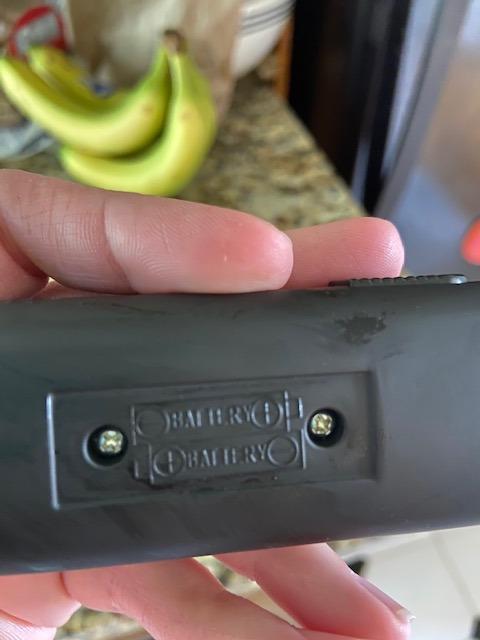Matcha DNA Handheld Milk Frother Wand, Electric Stainless Steel Whisk Mixer customer photo 1
