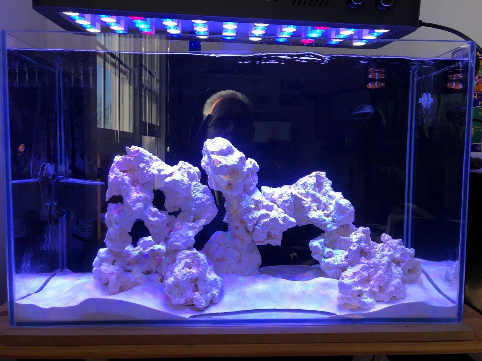 Empire USA 24 Gallon All-in-One Aquarium Kit, Rimless Low Iron Glass AIO Saltwater & Freshwater Fish Tank, Complete Nano Reef Tank Setup customer photo 1
