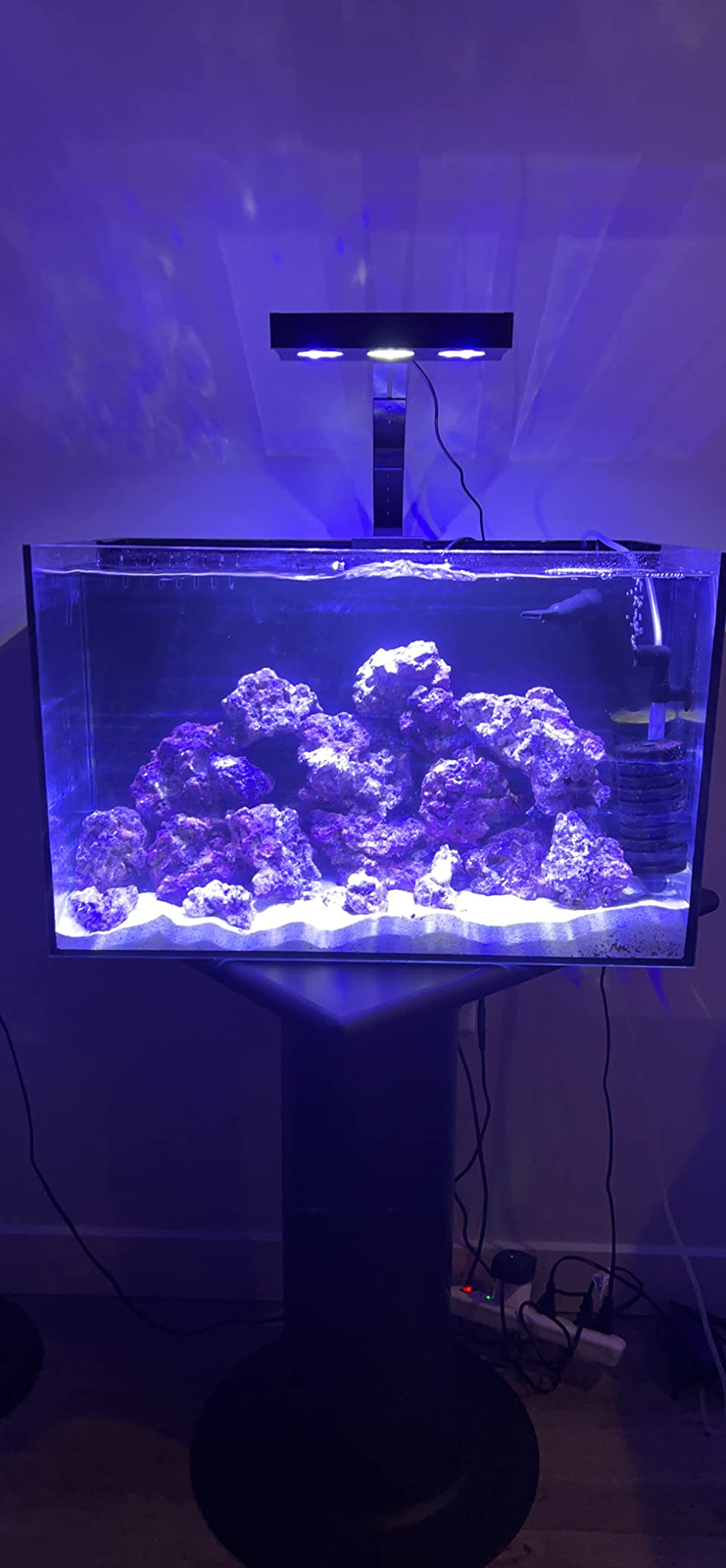 Empire USA 24 Gallon All-in-One Aquarium Kit, Rimless Low Iron Glass AIO Saltwater & Freshwater Fish Tank, Complete Nano Reef Tank Setup customer photo 2