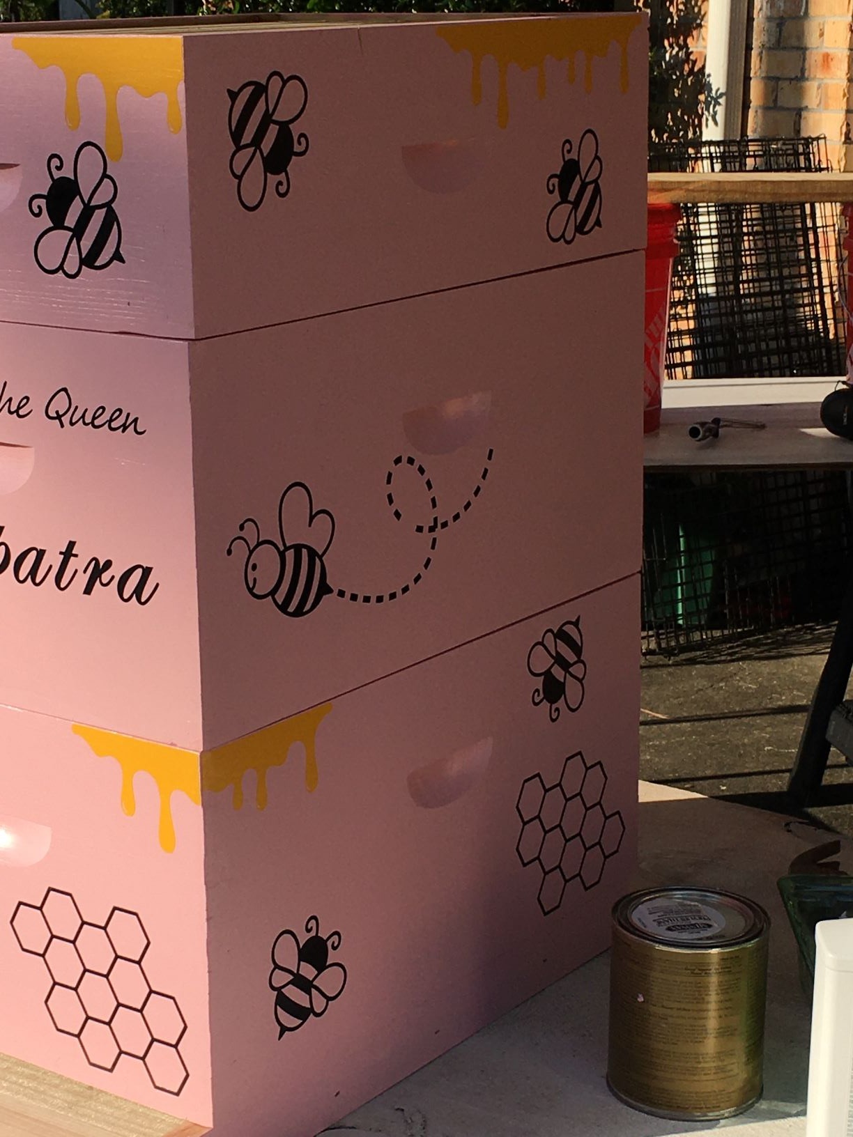 NuBee 8-Frame Beehive Kit – Unassembled Langstroth Hive with 2 Deep & 1 Medium Boxes, Frames & 100% Wax-Coated Foundations | Lightweight Fir & Pine Construction customer photo 2
