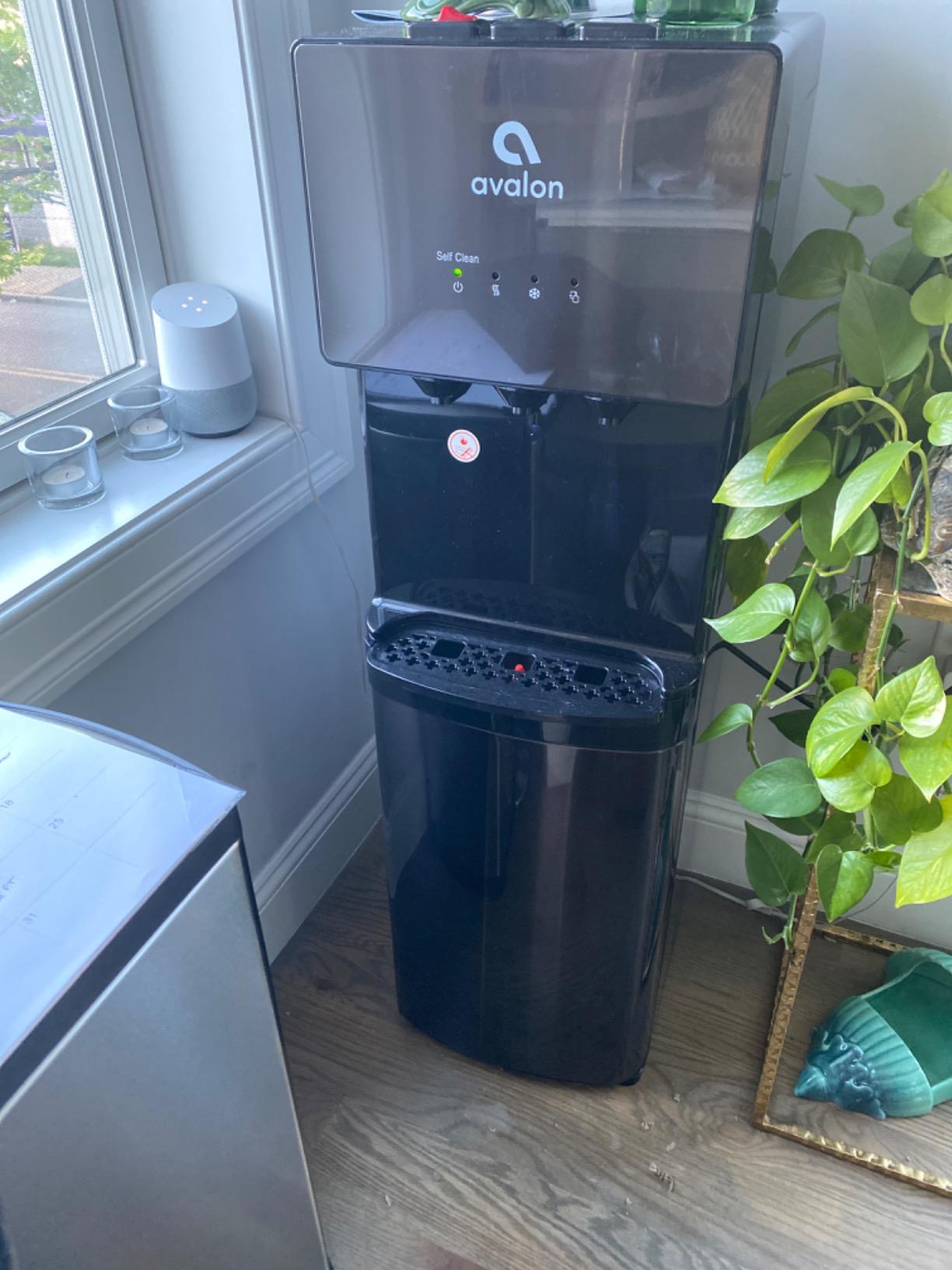 Avalon A3BLK Self Cleaning Bottom Loading Water Cooler Dispenser, 3 Temperature-UL/Energy Star Approved-Black Stainless Steel, 5 Gallons customer photo 1