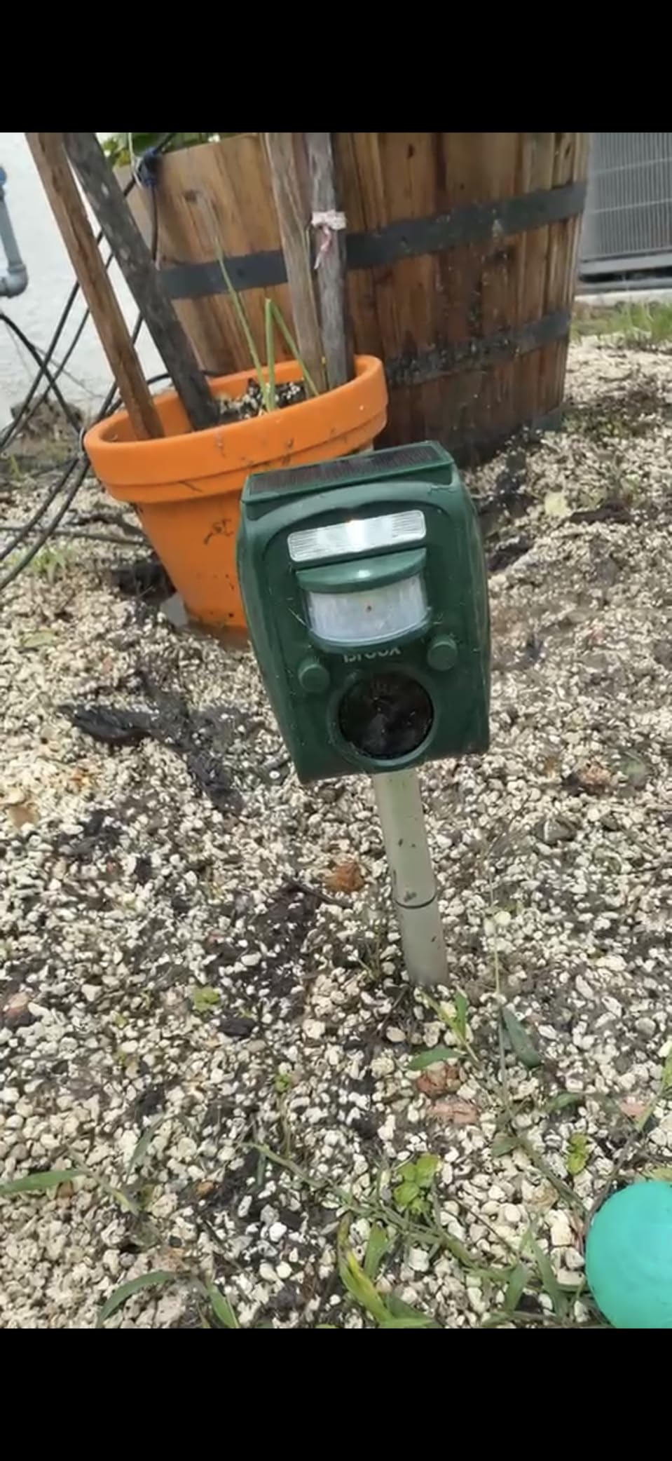 Broox 2026 Upgraded Solar Animal Repellent, Cat Repellent Outdoor, Squirrel Repellent, Deer Repellent, Ultrasonic pest Repeller, Waterproof IP 65, Motion Detection, Dog, Raccoon, Skunk, Rabbit, Rodent customer photo 1