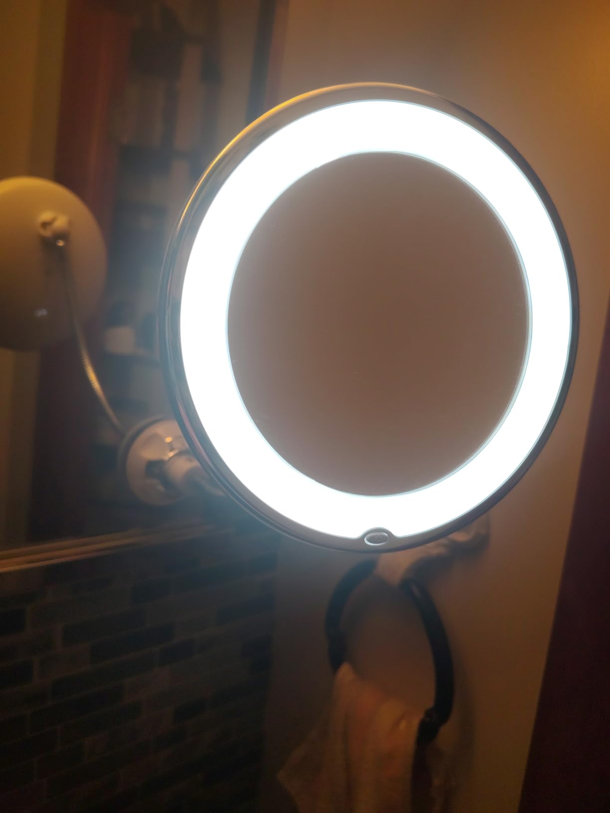 10x Magnifying Mirror with Light, Flexible Gooseneck Travel Make up Mirror customer photo 1