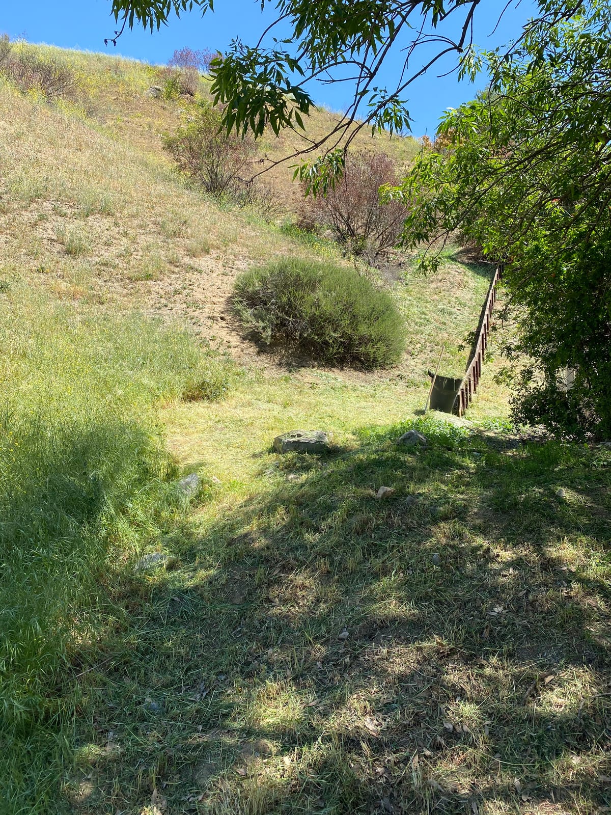 Makita XRU15PT1 36V (18V X2) LXT® Brushless String Trimmer Kit with 4 Batteries (5.0Ah) customer photo 1