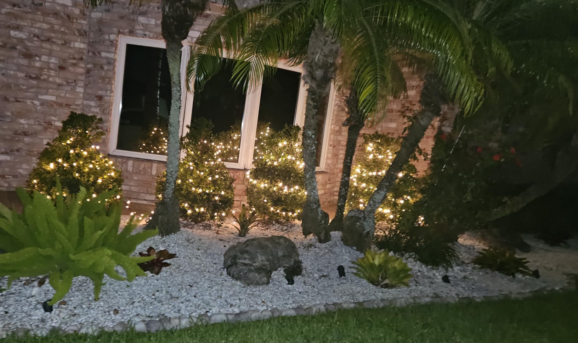 Joiedomi Clear Christmas String Lights Indoor,100 Count Mini White Fairy Light Outdoor,19.4 FT Decor for Patio Dorm Classroom Bedroom Holiday Wedding Party Garland Birthday Festival,Green Wire customer photo 1