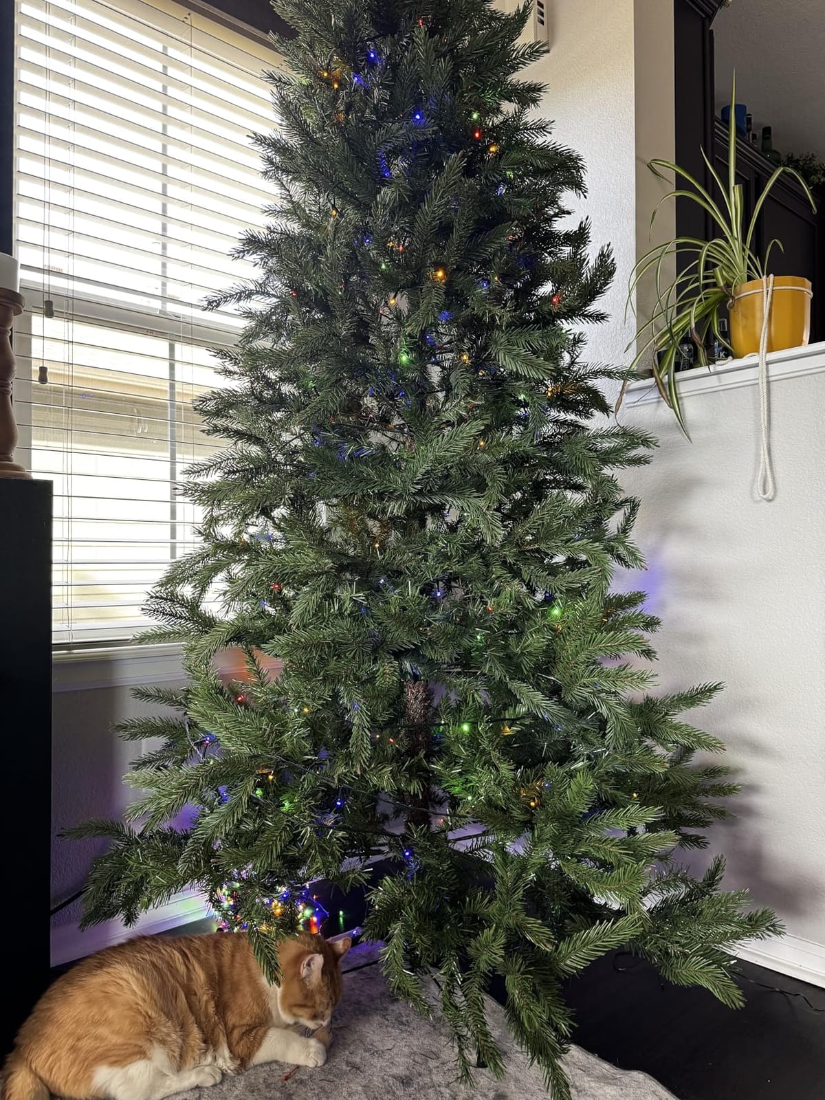 MZD8391 105FT 300LED Christmas Light Outdoor Indoor,Christmas Tree Light customer photo 1