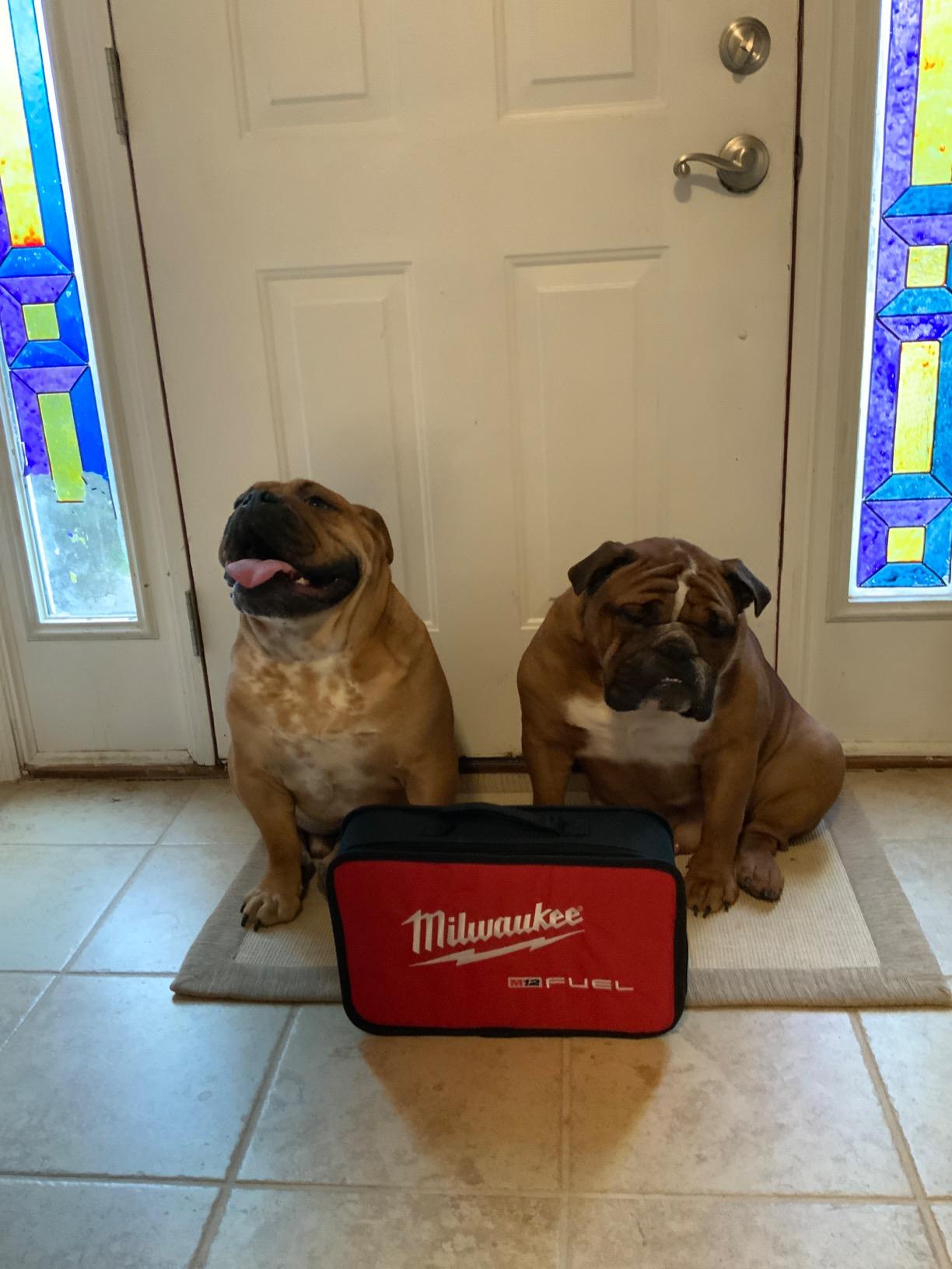 Milwaukee 2505-22 M12 Fuel Installation Drill/Driver Kit, Compact, Forward/Reverse Switch, Keyless Chuck, LED Light, Variable Speed customer photo 1