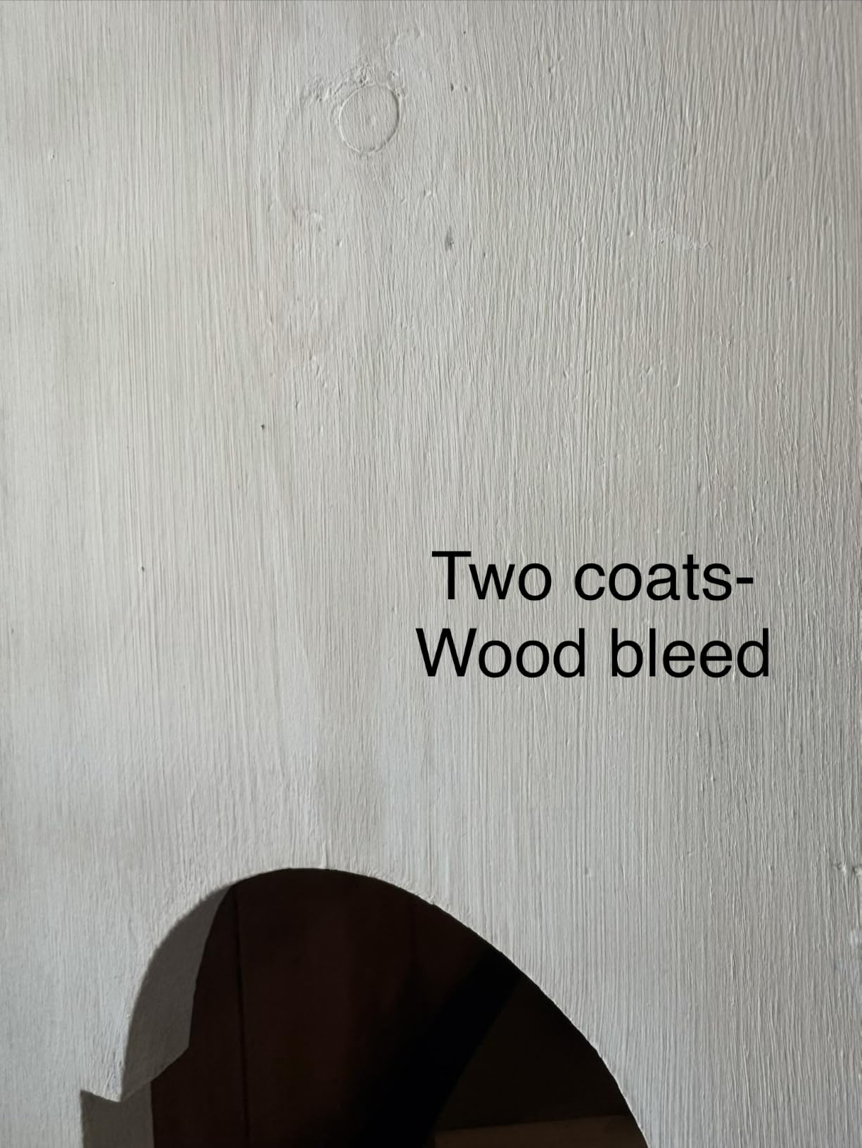Country Chic All-in-One Chalk Paint for Furniture, Cabinets, Home Decor, Eco-Friendly, Matte Finish, Built-In Primer & Top Coat for Wood, Metal - Simplicity (White) - Pint 16 oz (475 ml) customer photo 1
