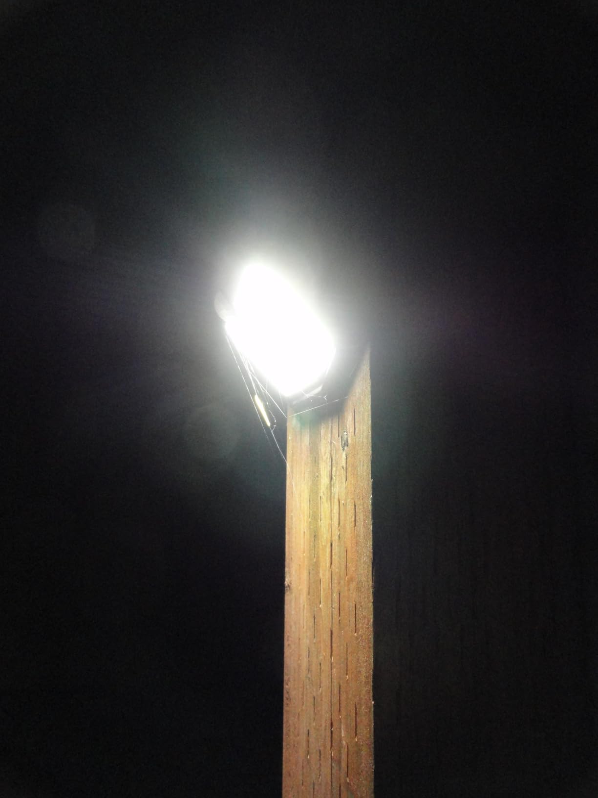 HMCITY Solar Lights Outdoor 120 LED with 3 Lighting Modes, Motion Sensor Wall Lights,IP65 Waterproof Solar Powered for Garden Patio Yard (Back Button 2Packs, Black Shell-Daylight White) customer photo 2
