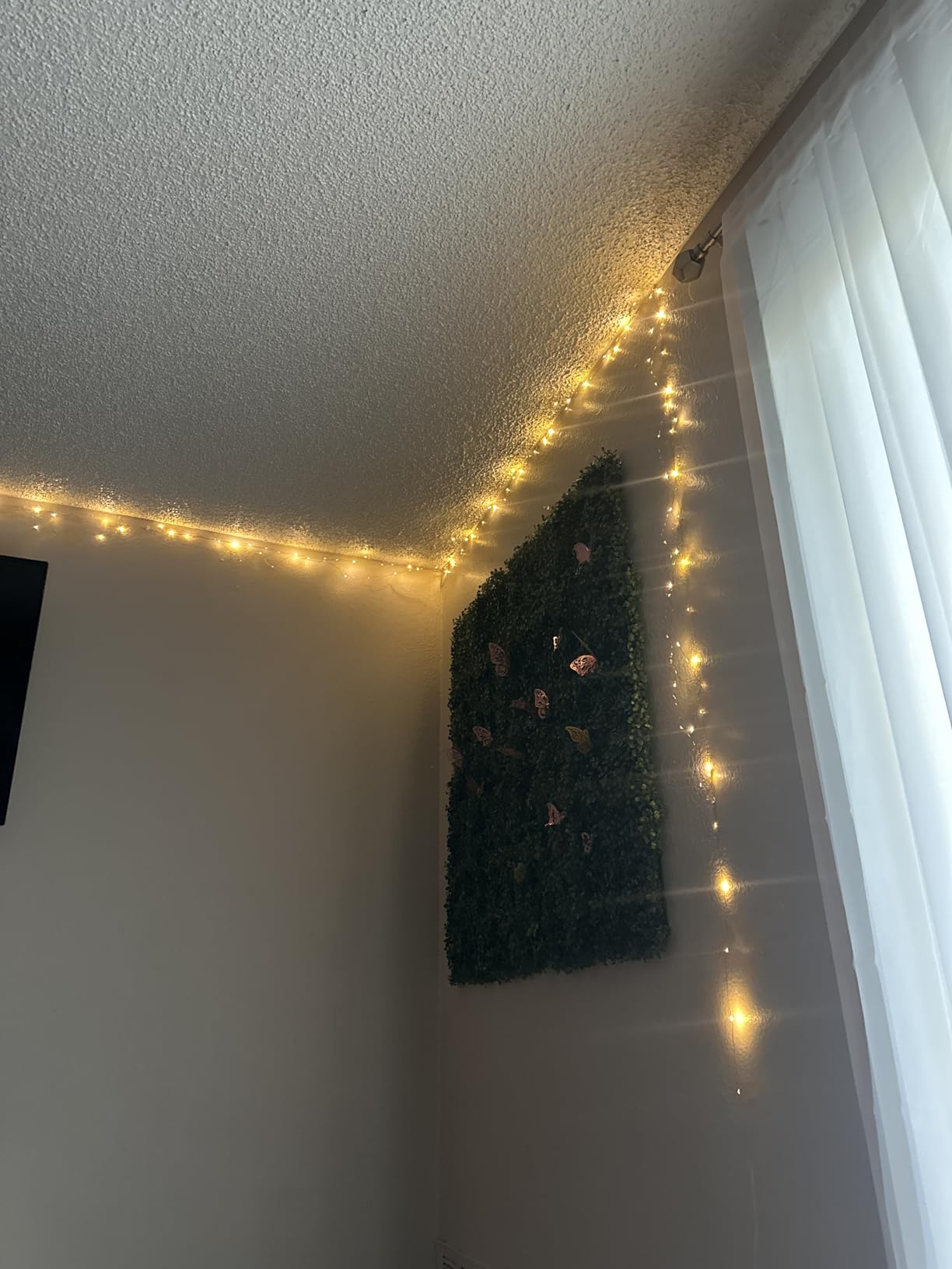 66FT 200 LED Fairy Lights Plug in, 8 Modes Twinkle Lights Warm White customer photo 1