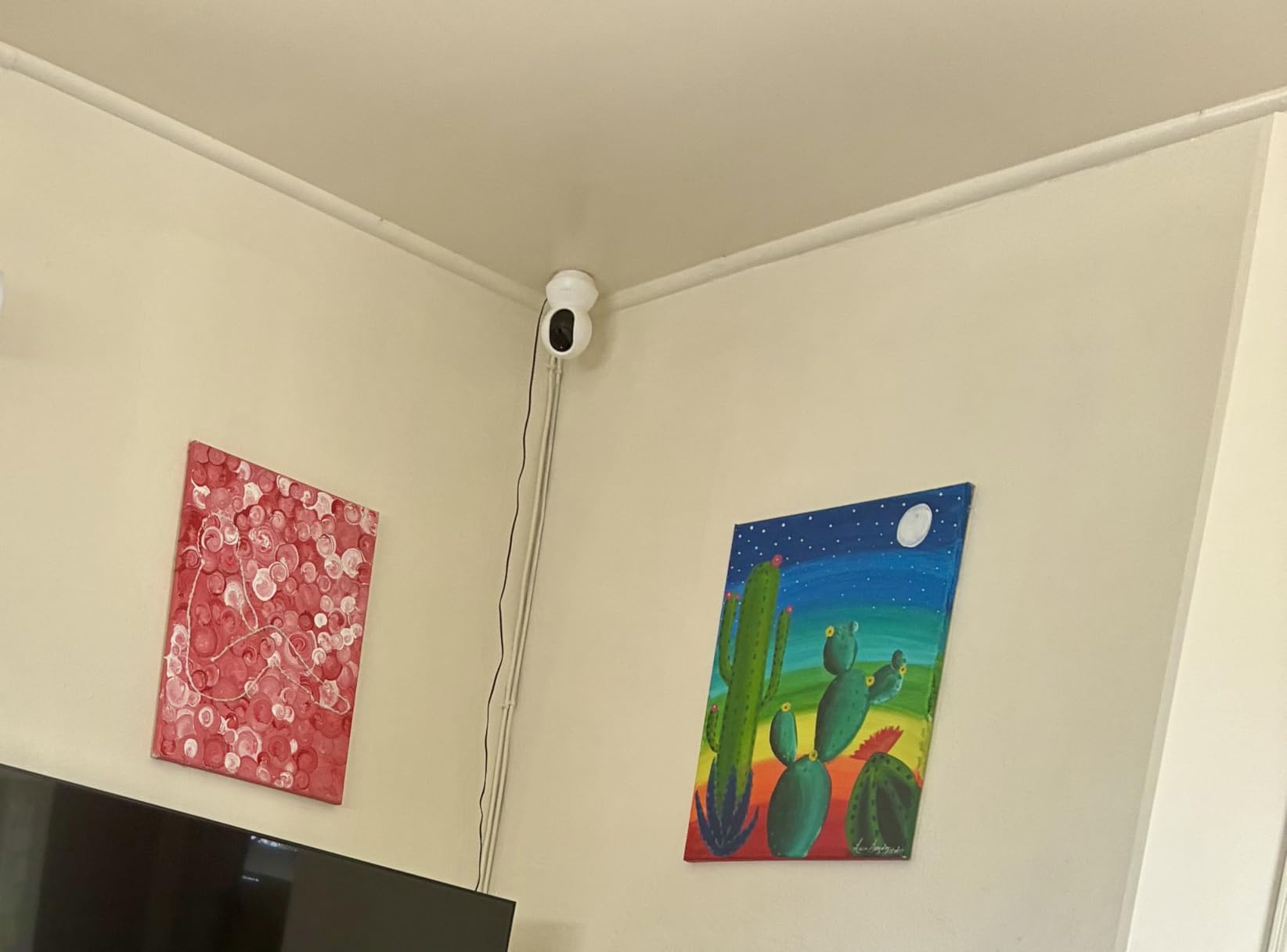Tapo 1080p Pan/Tilt Security Camera for Baby Monitor, Pet Camera, C200 customer photo 2