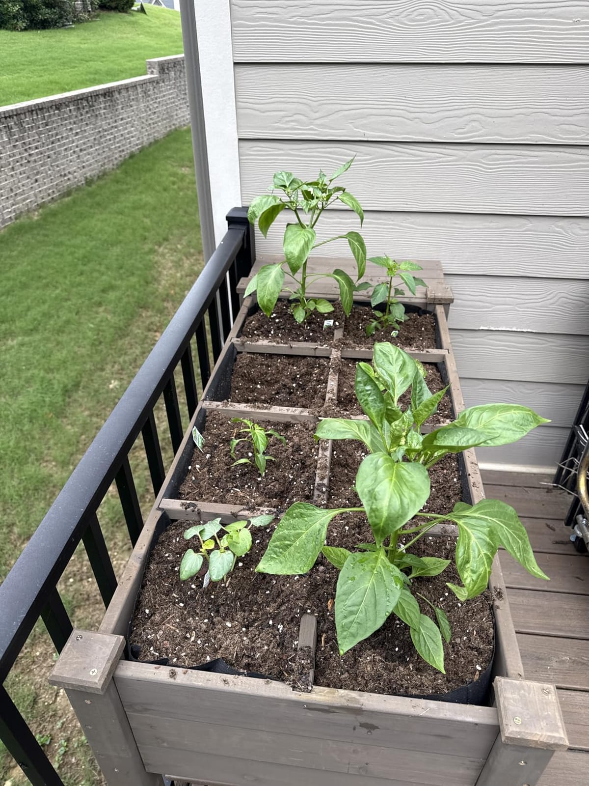 Aivituvin Raised Garden Bed on Wheels, Elevated Plant Boxes Outdoor Large with Grow Grid - with Large Storage Shelf 52.7
