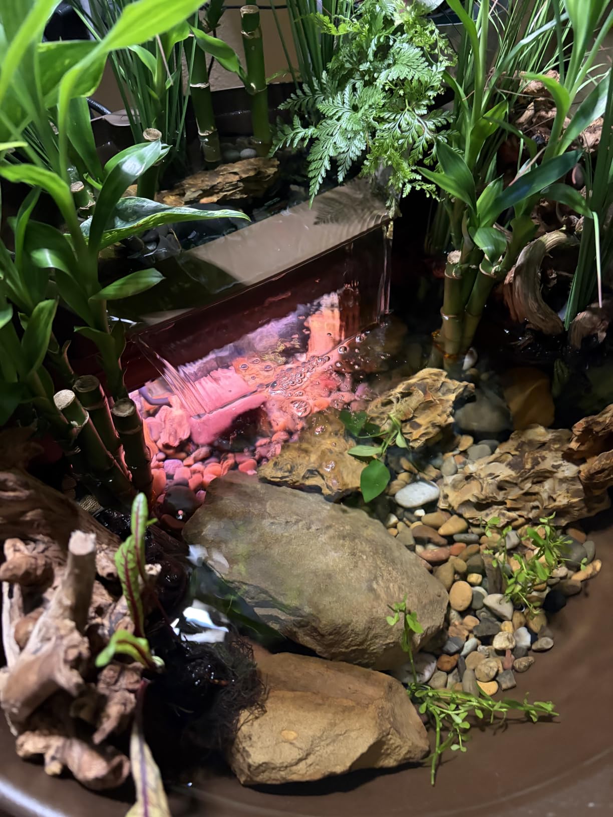 Aquascape AquaGarden Container Water Feature Kit - Indoor & Outdoor Mini Pond with Waterfall Fountain, Pump & Filtration for Home & Patio, Brown customer photo 1