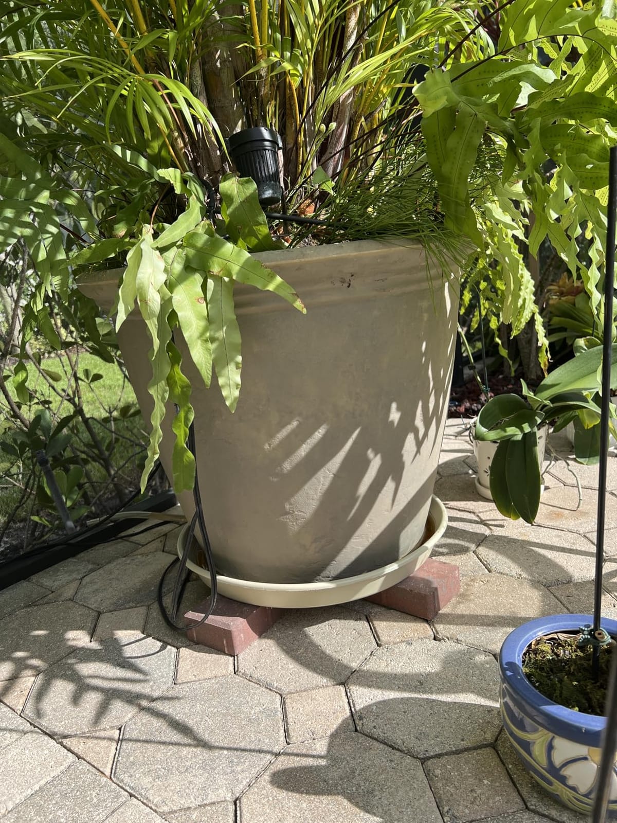 Sunnydaze Anjelica 24'' Large Plastic Planter Pot for Plants, Sable customer photo 1