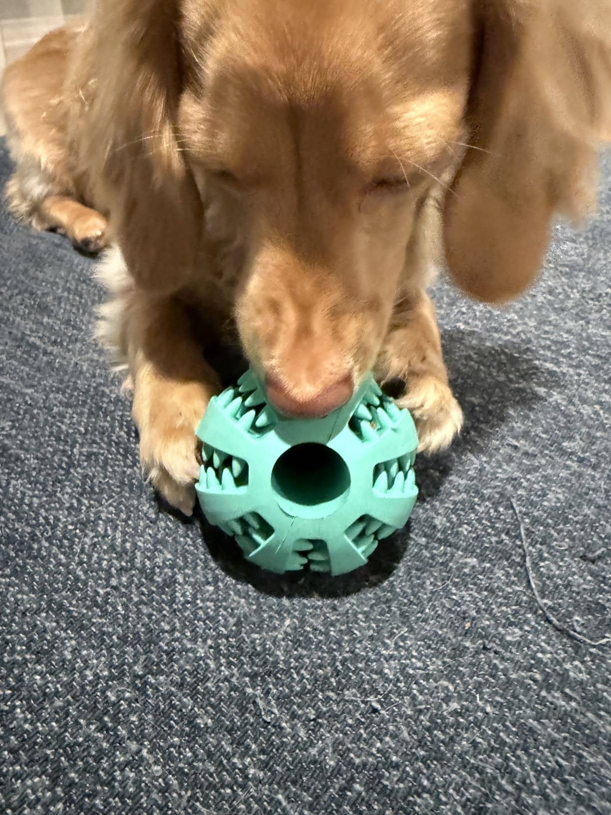 HIPPIH Dog Puzzle Toy 2 Pack, Interactive Dog Toys for Treat Dispensing | Durable Puppy Enrichment Toys, Dog Treat Ball for Teething, Slow Feeder, IQ Training, Blue-2.75'', Green-3.14'' customer photo 1