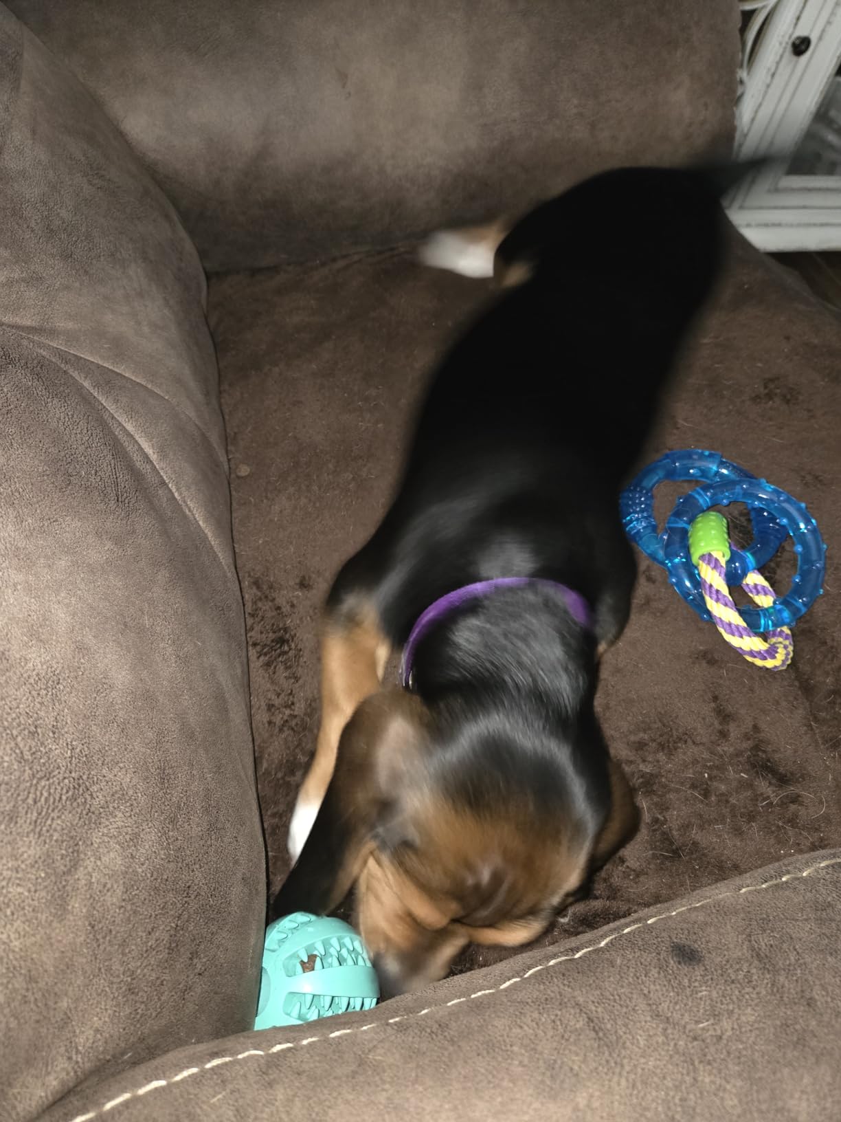 HIPPIH Dog Puzzle Toy 2 Pack, Interactive Dog Toys for Treat Dispensing | Durable Puppy Enrichment Toys, Dog Treat Ball for Teething, Slow Feeder, IQ Training, Blue-2.75'', Green-3.14'' customer photo 2