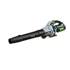 EGO POWER+ Cordless Electric Leaf Blower, 650 CFM, With Battery - LB6504 customer photo 1