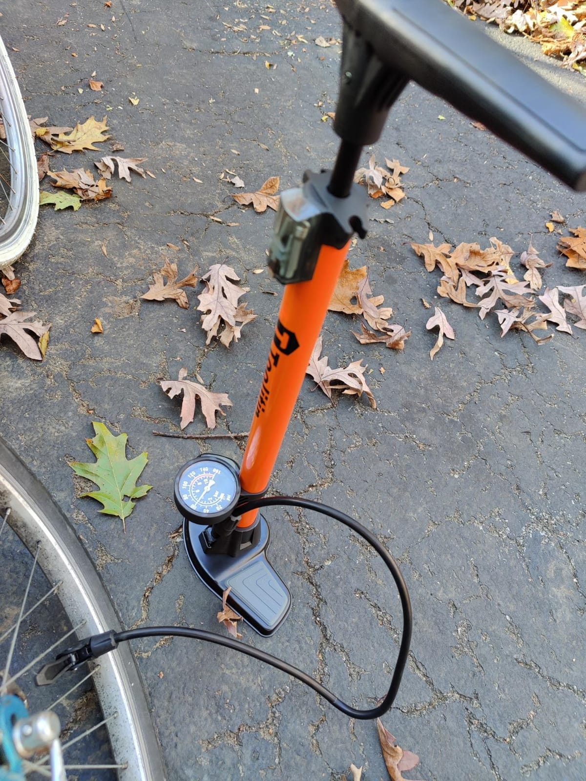 TOOLITIN Floor Bike Pump with Gauge,High Pressure,Bicycle Pump Compatible with Presta and Schrader Valve,Bike Tire Pump for Road Bike,MTB,Hybrid,Balls customer photo 2