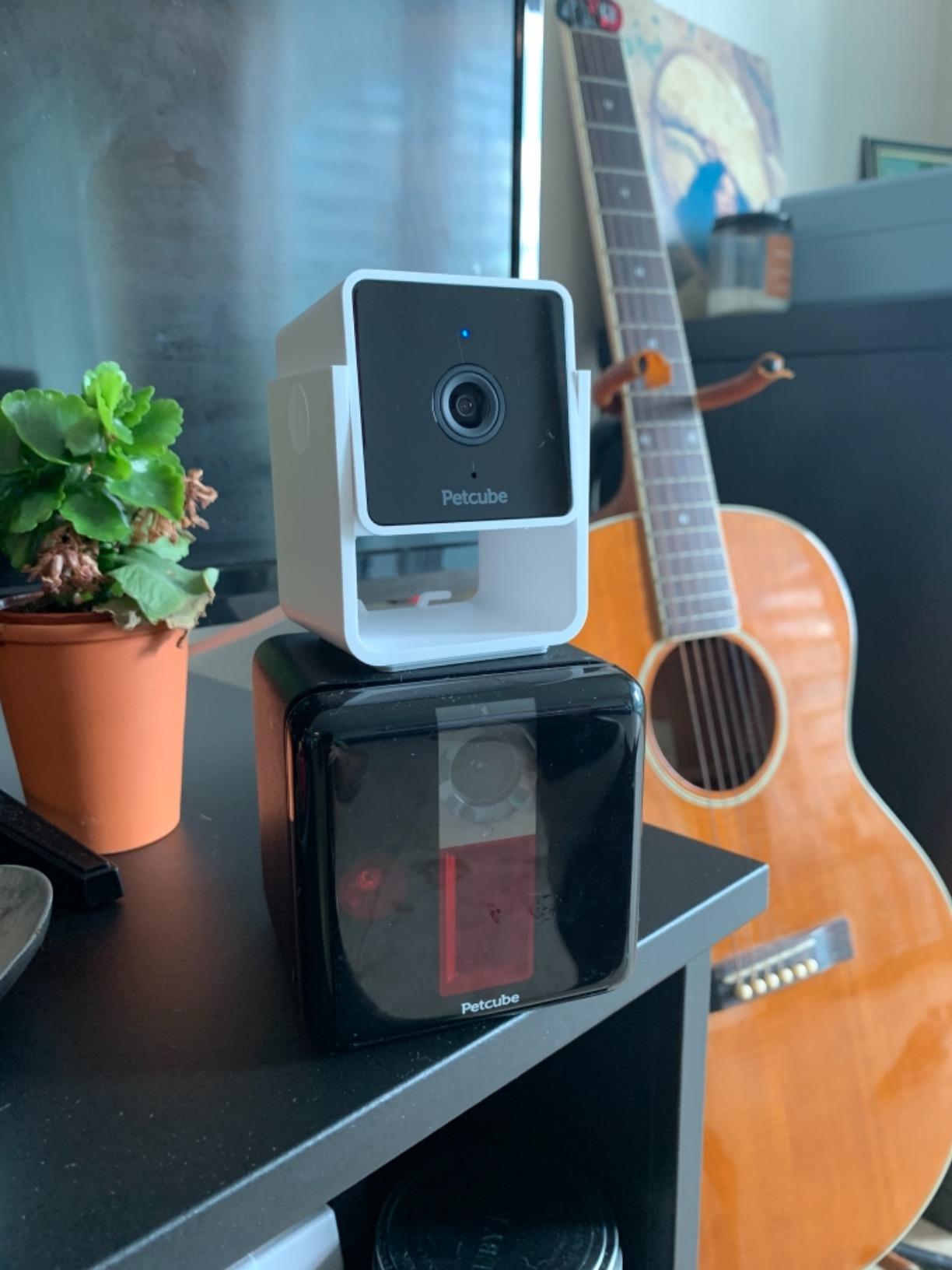Petcube Cam – Indoor Wi-Fi Pet & Security Camera with App customer photo 1