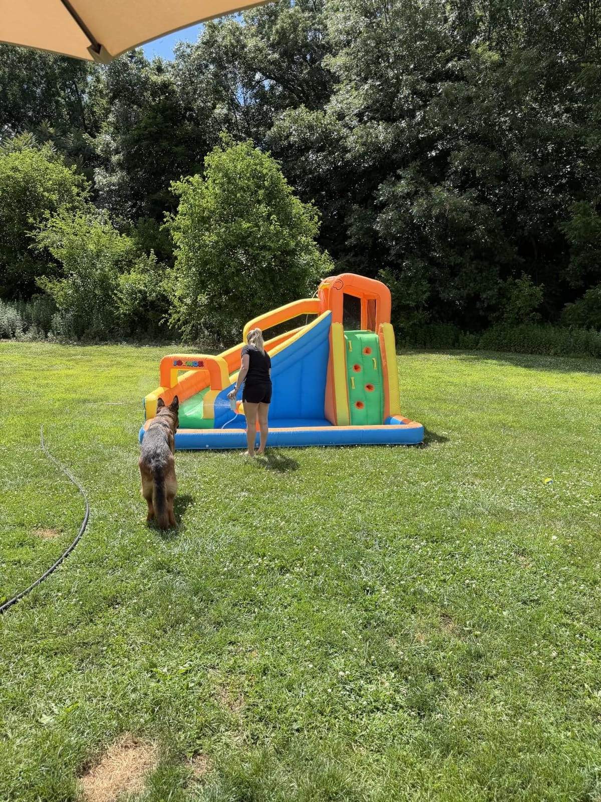 JOYMOR Inflatable Water Slide Park with Splash Pool, Climbing Wall, Water Cannon,Blow up Water Slides for Backyard Outdoor Fun Summer Water Plays for Party Birthday Gift (Orange & Yellow) customer photo 1