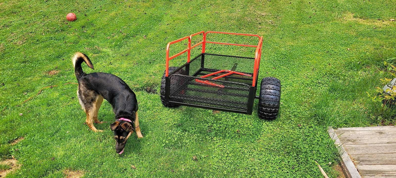 Guide Gear Cargo Utility Trailer, Heavy Duty Carts with Wheels, ATV Carrier customer photo 2