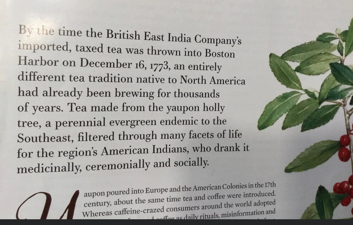 Yaupon Brothers Revive Mint Yaupon Tea, Organic, 16 Tea Bags customer photo 1