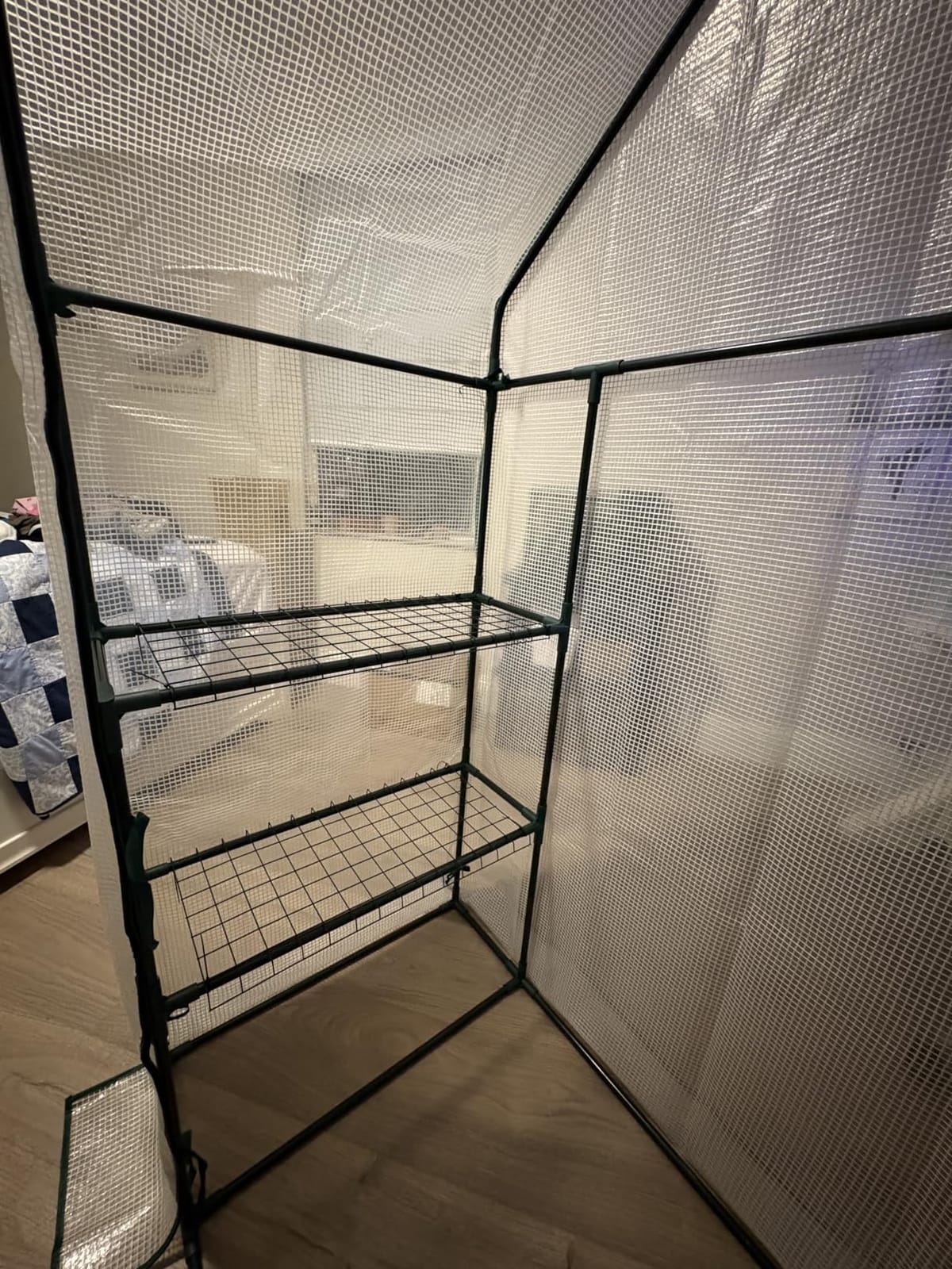 56x30x76 Portable Walk-in Greenhouse for Outdoors, Plant House with Shelves customer photo 1