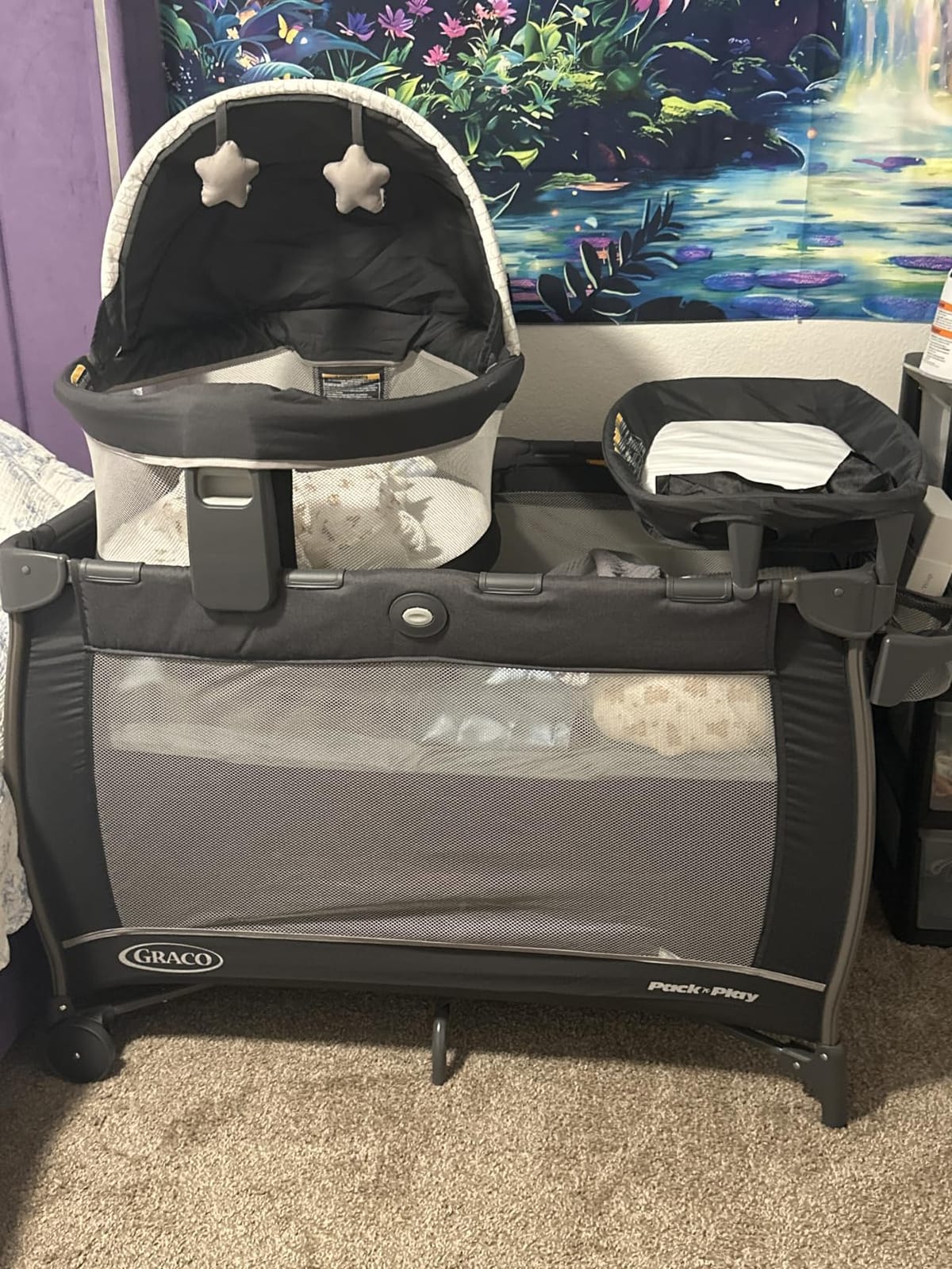 Graco Travel Dome LX Pack 'n Play Playard, Redmond customer photo 1