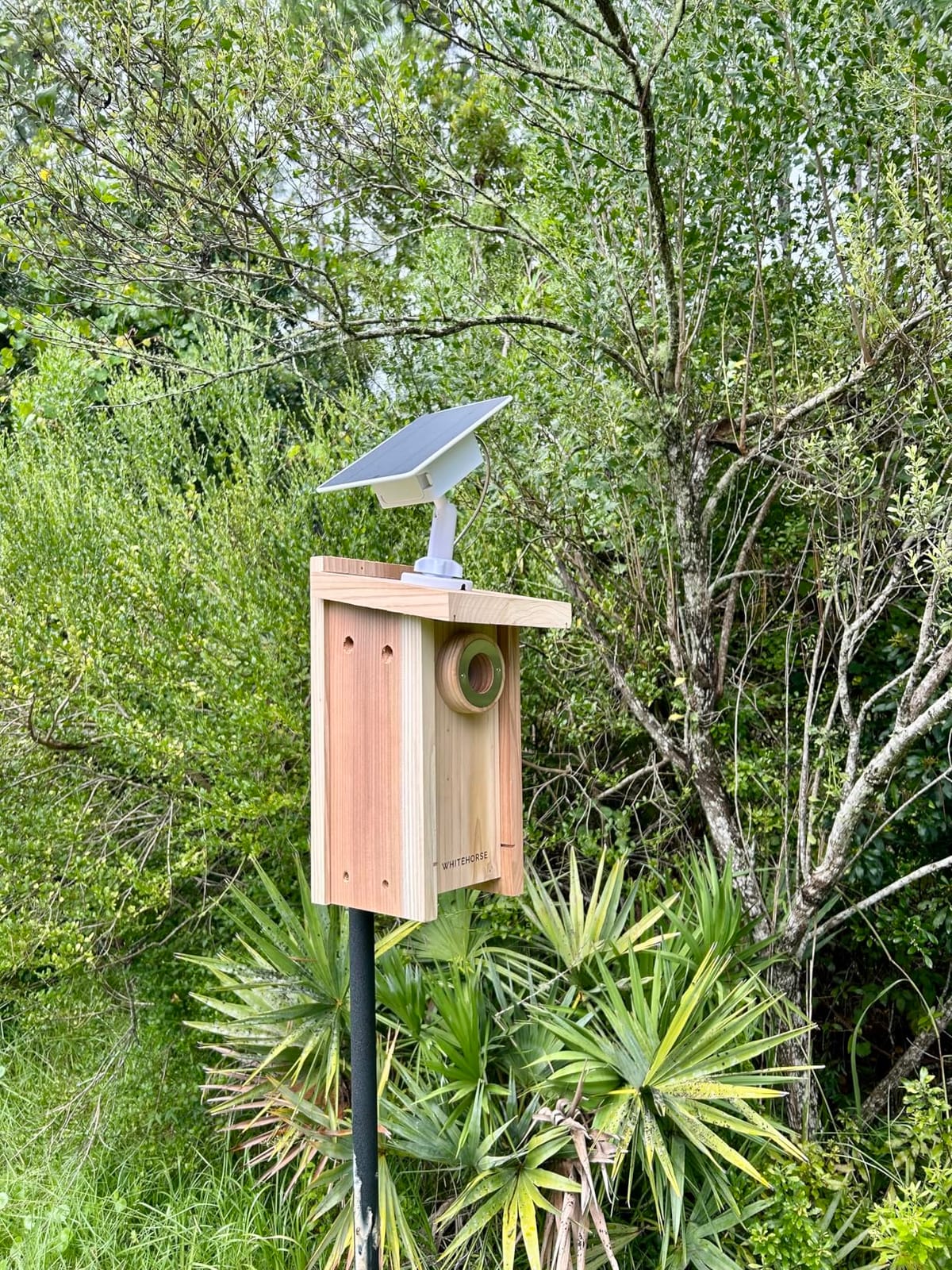 WHITEHORSE Bluebird House - Weatherproof Bird House for Outdoors - Cedar Birdhouse Built to NABS Specs - Nest Box for Bluebirds, Chickadees, Titmice, Wrens, Nuthatches & More (15