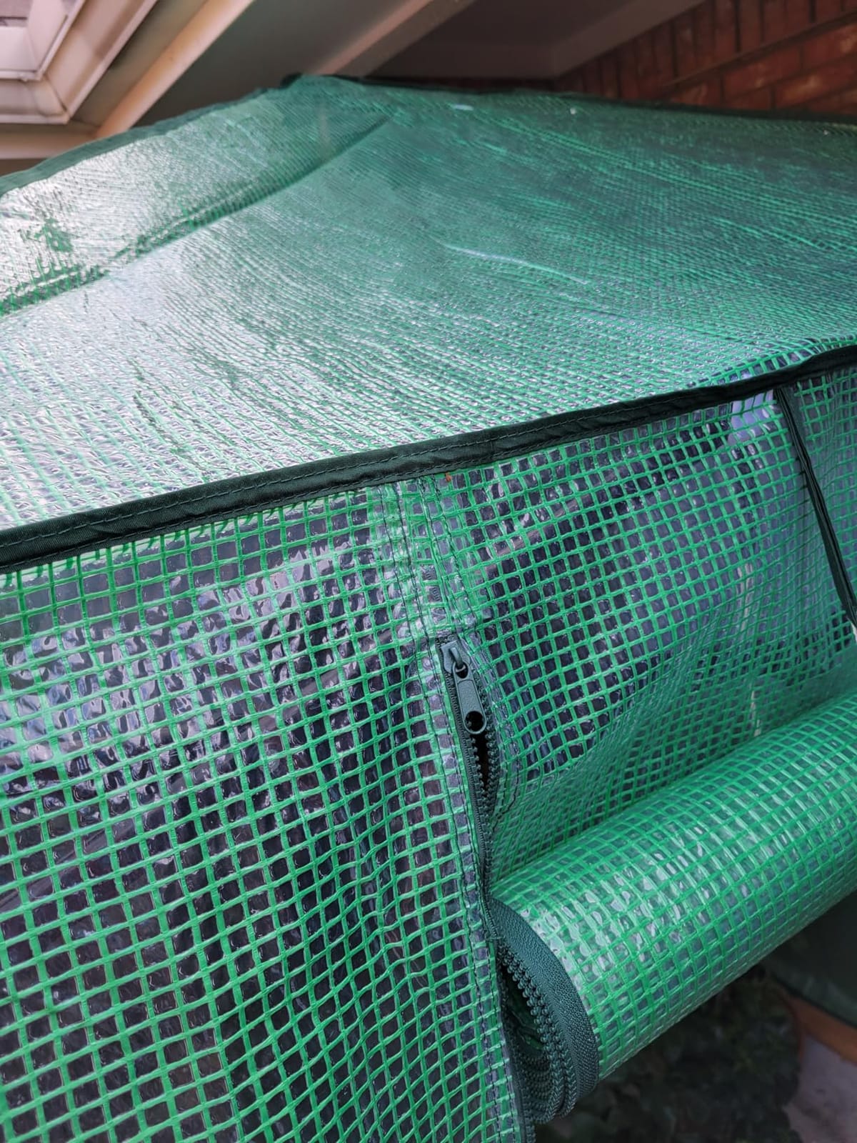 EAGLE PEAK 6x4 Easy Setup Small Pop Up Greenhouse, Clear/Green customer photo 1