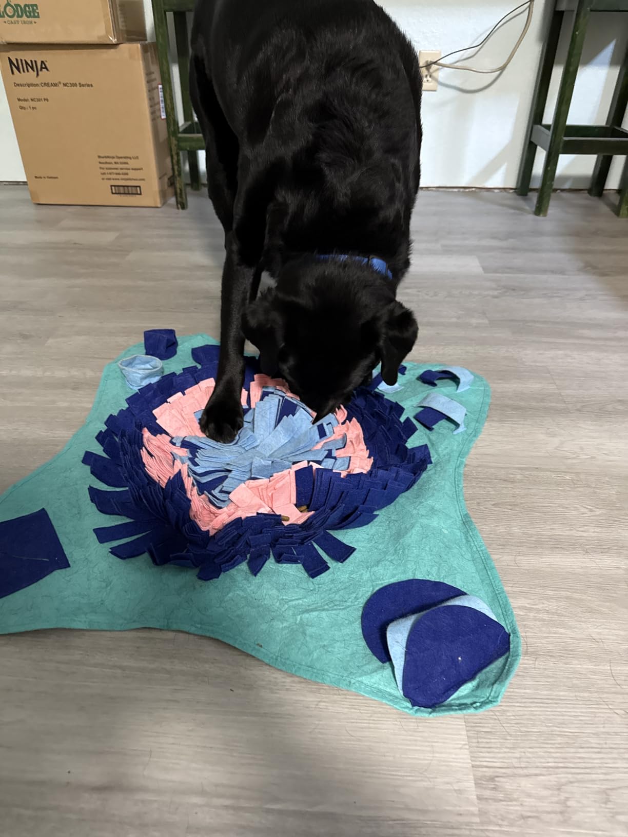 PET ARENA Adjustable Snuffle Mat for Dogs Puzzle Feeder Toy customer photo 1