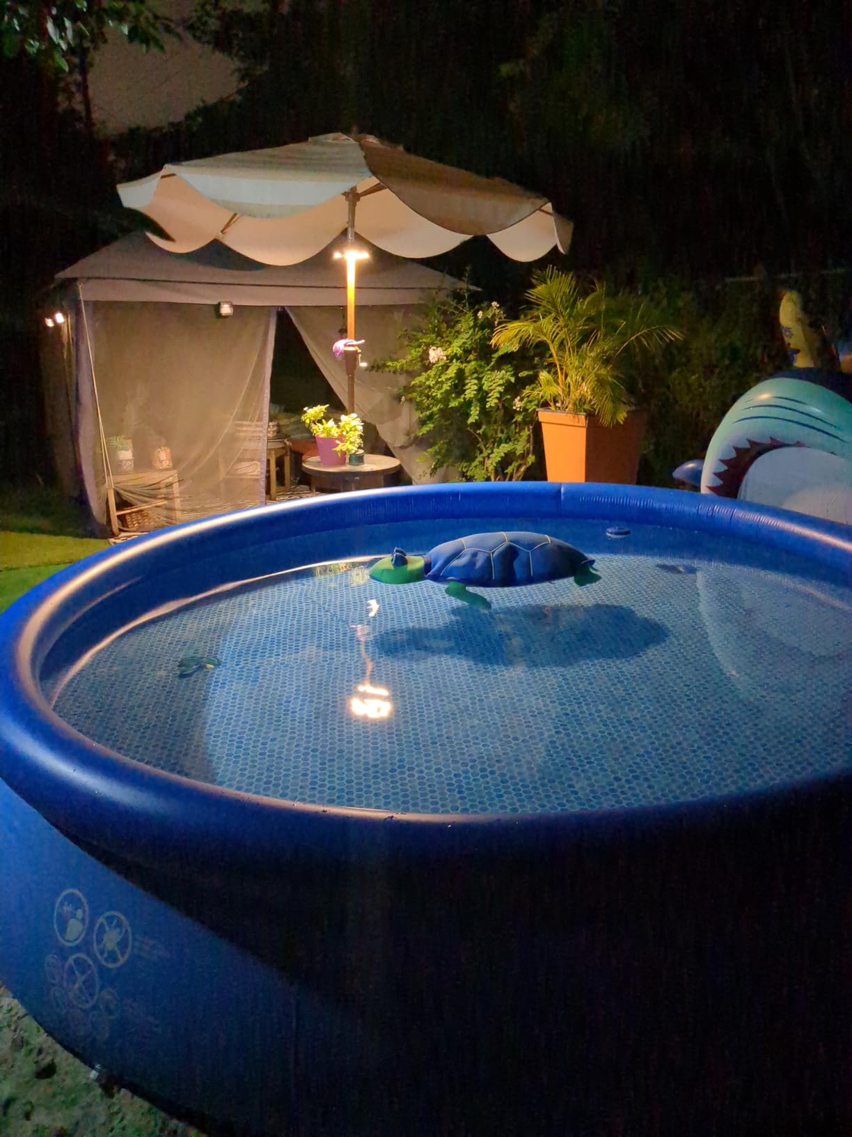Intex Easy Set 8ft x 24in Inflatable Ring Above Ground Pool Set w/Pump customer photo 2