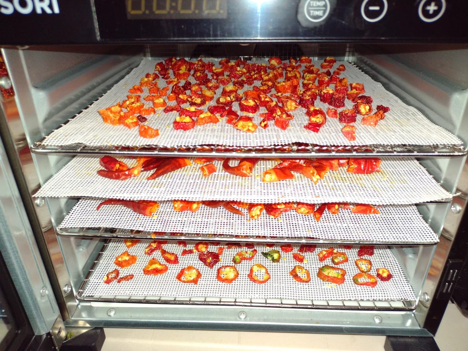 6 Pack Silicone Dehydrator Sheets,Non-stick Food Fruit Dehydrator Mats Reusable Steamer Mesh Mat for Fruit Dryer (6, 14 x 14 inch) customer photo 1