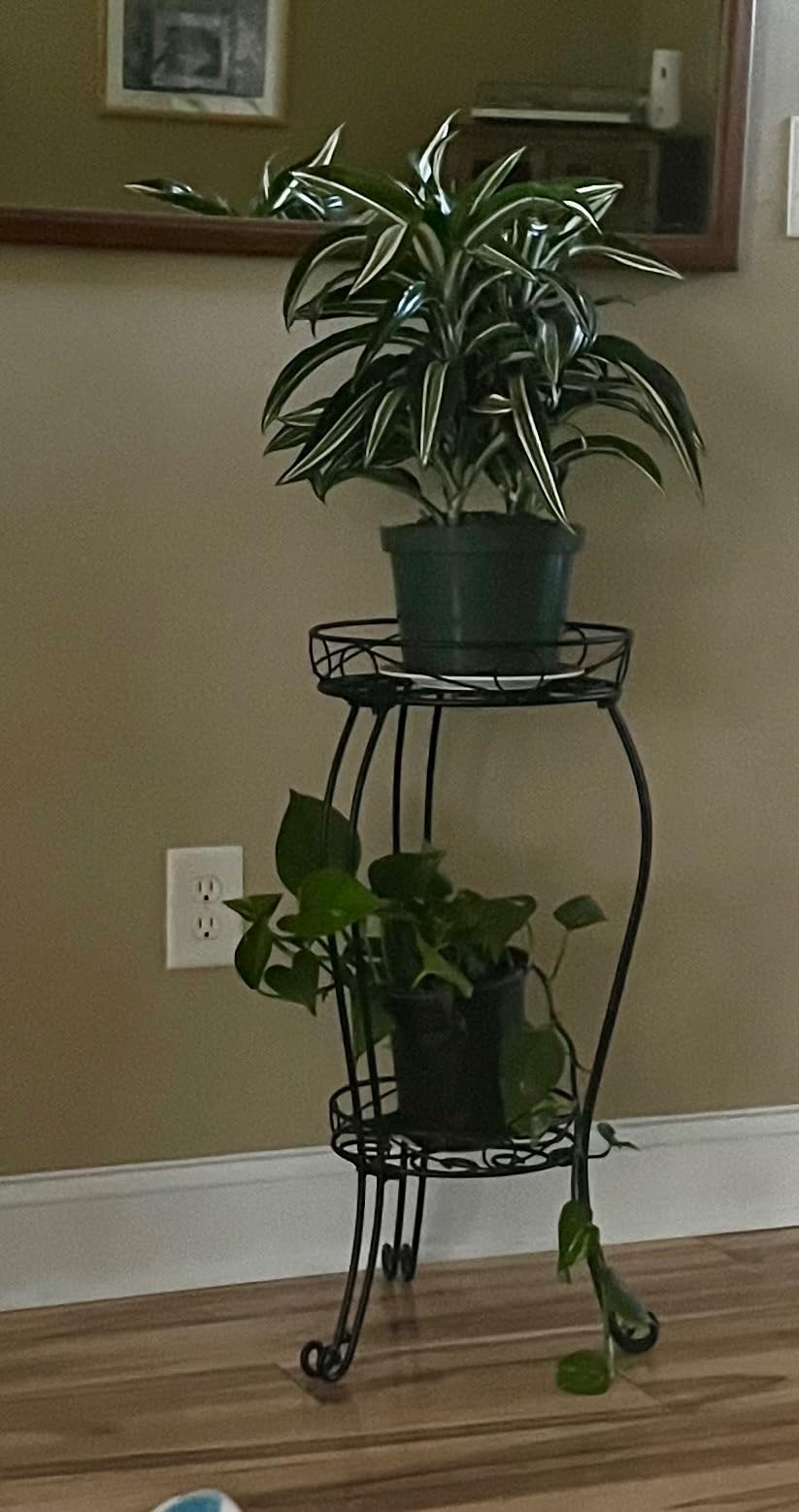 TREEZITEK 11.8 inches Diameter Tall Metal Plant Stand for Indoor or Outdoor, Heavy Duty Flower Pot Stand Rack Holds Big Heavy Plants, Black (18.9 INCHES TALL) customer photo 1