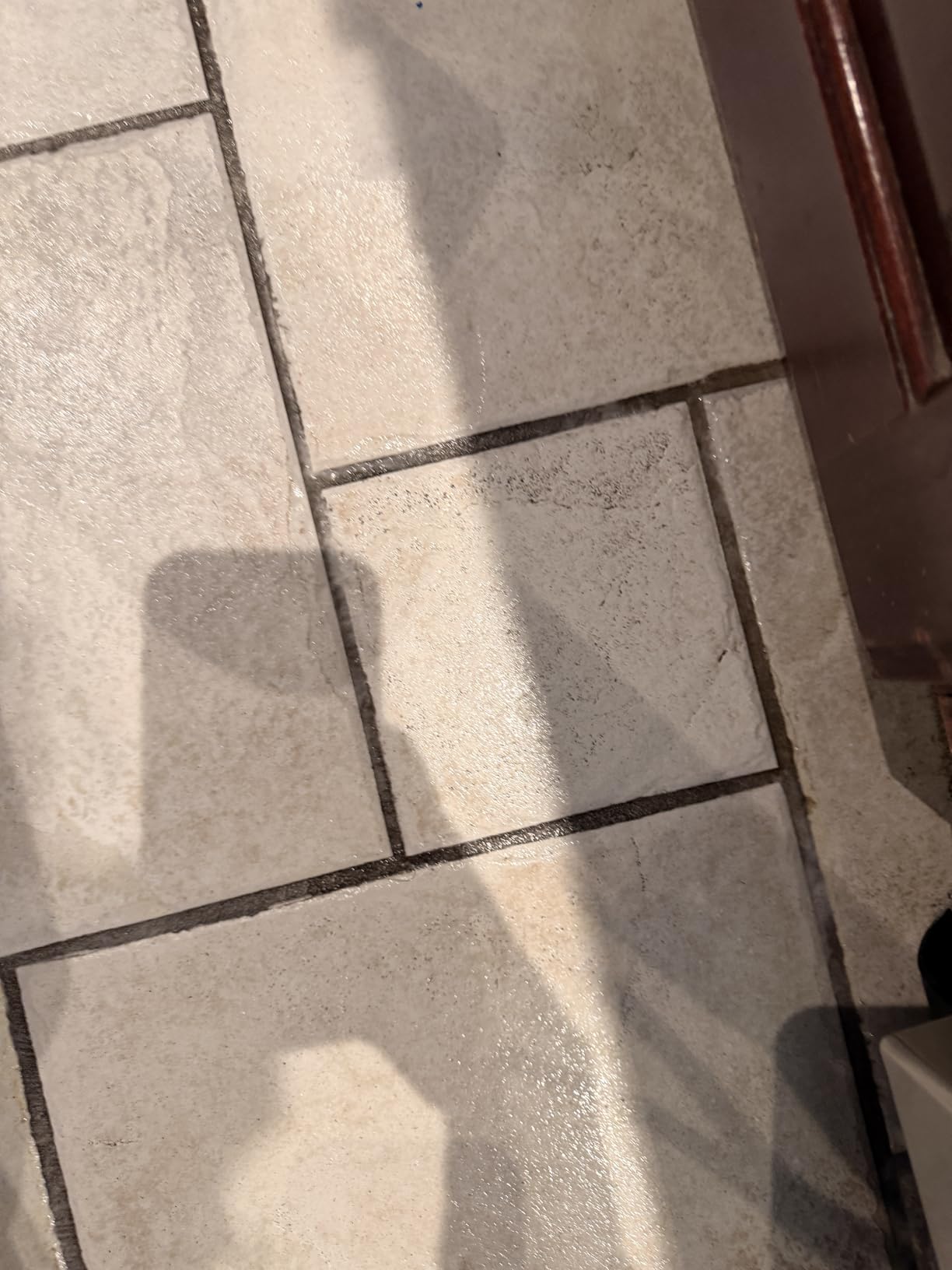 BISSELL SpinWave Pet Hard Floor Corded Spin Mop, 20399 customer photo 2