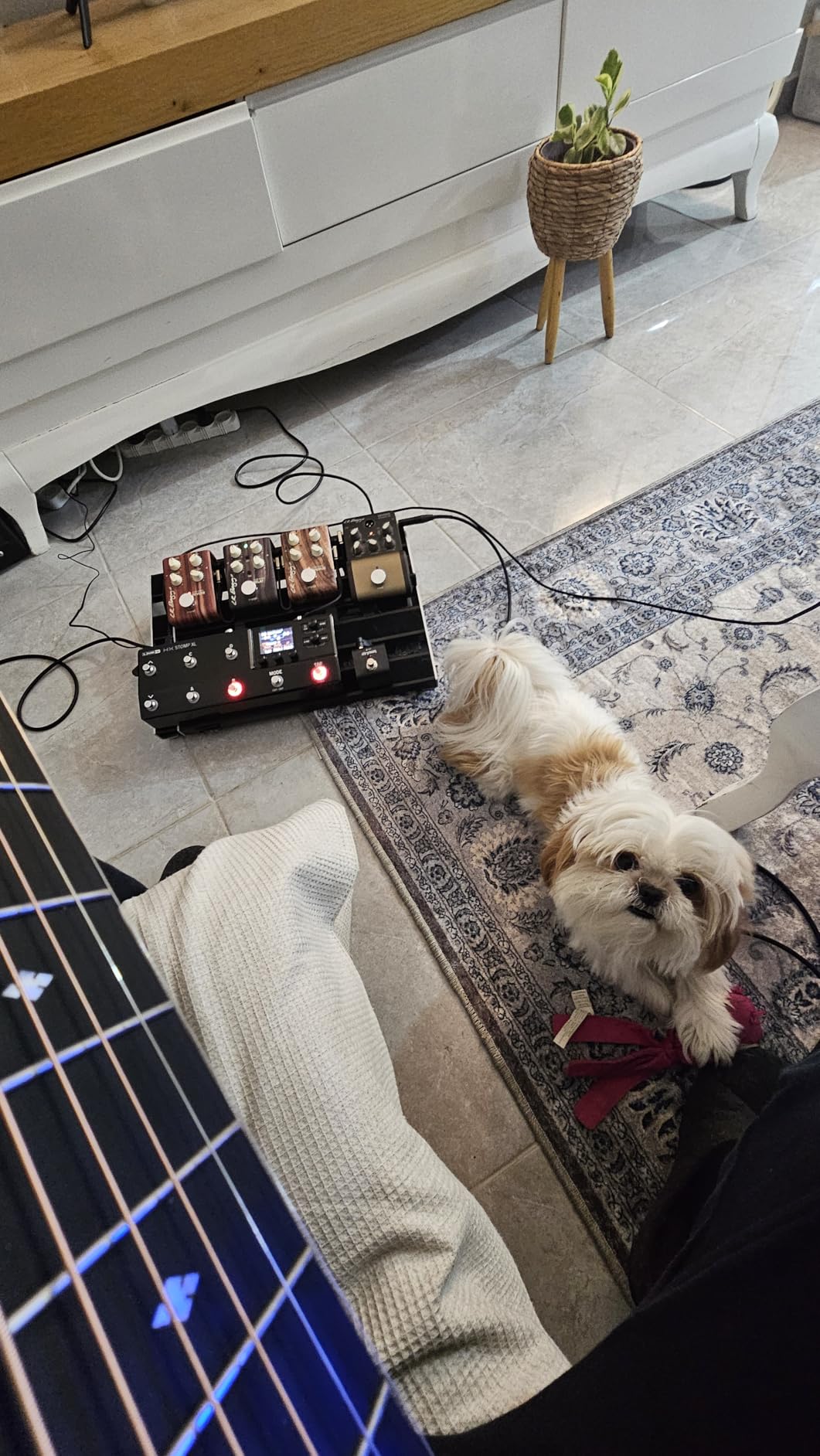 Line 6 HX Stomp XL Multi-Effects Guitar Pedal customer photo 1