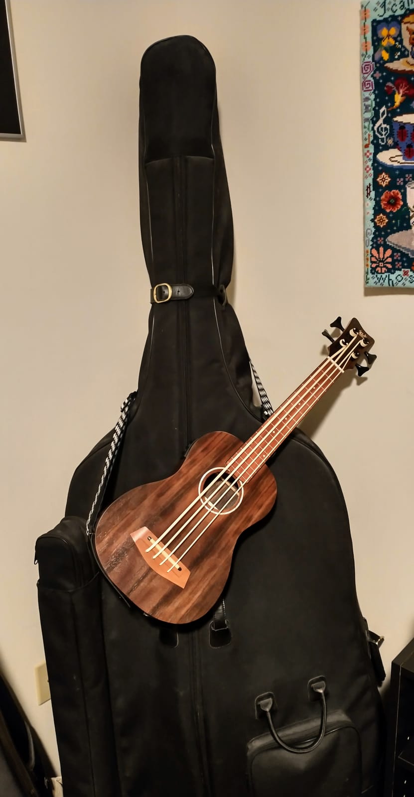 Electric Bass Ukulele,AKLOT Baritone Fretless Ukelele Bass Uke 30 inch Ebony African Blackwood Professional E-A-D-G with Gig Bag Strap for Beginner Advanced customer photo 2
