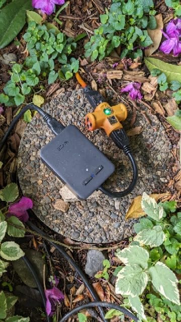 Wyze Plug Outdoor, Dual Outlets Energy Monitoring, IP64, 2.4GHz WiFi Smart Plug, Works with Alexa, Google Assistant, IFTTT, No Hub Required, Black customer photo 1