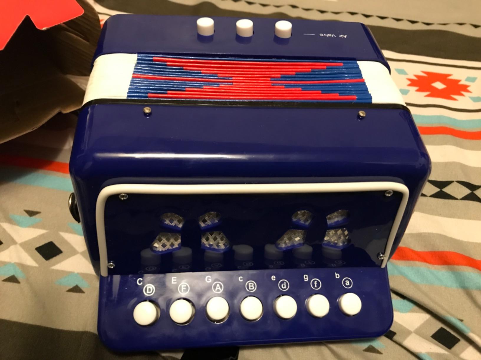Button Accordion, Horse 10 Keys Control Kids Accordion Musical Instruments for Kids Children Beginners Lightweight and Environmentally-friendly (Red) customer photo 2